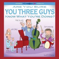 AreYou Sure You Three Guys Know What You're Doing? [LP] - VINYL - Front_Zoom