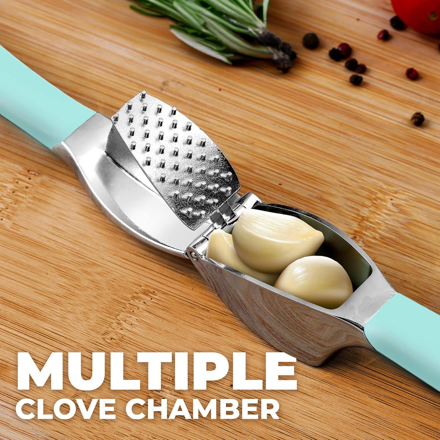 MULTIPLE CLOVE CHAMBER