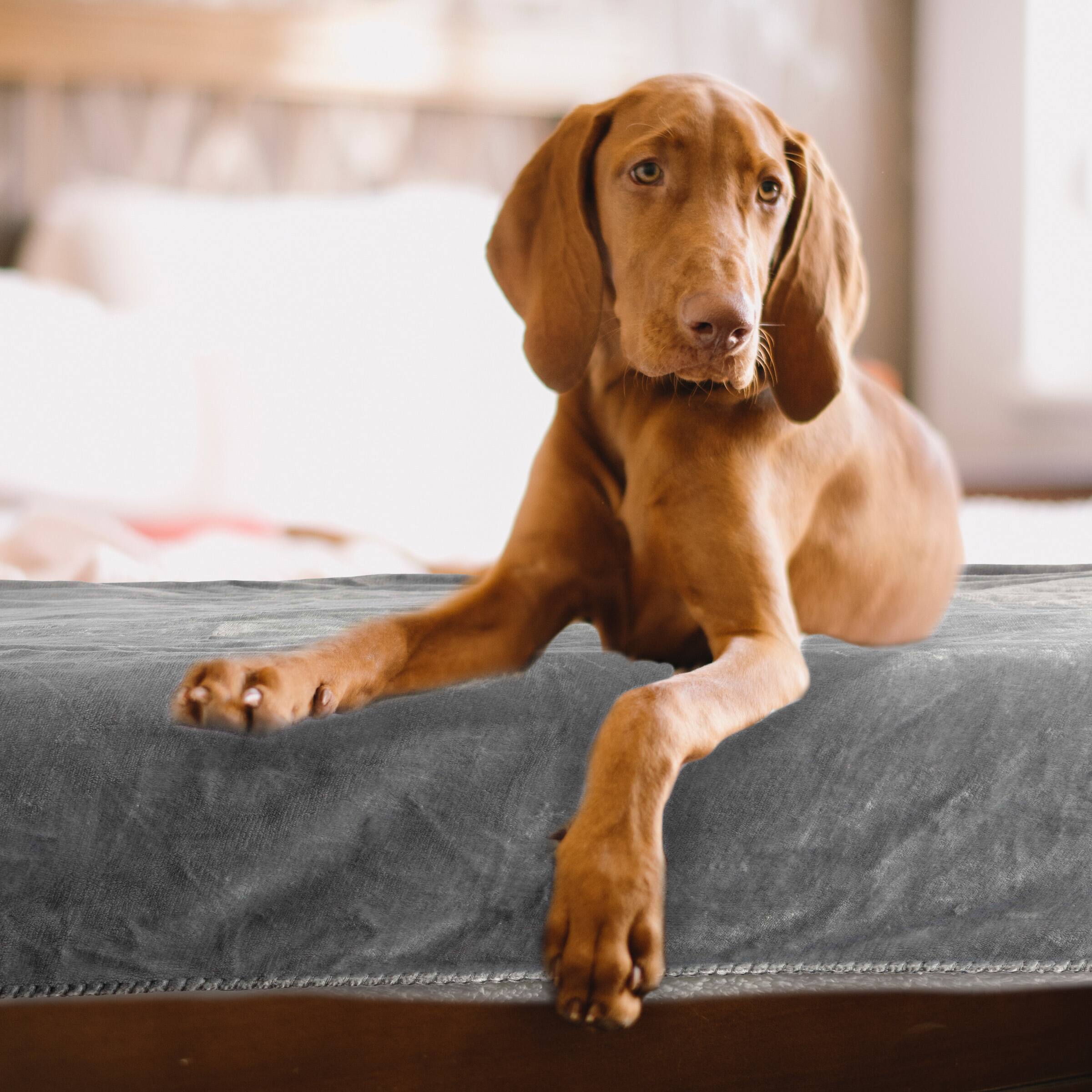 Alt View 1. PetMaker - 80x100 Water-Resistant Dog Blanket - Gray.