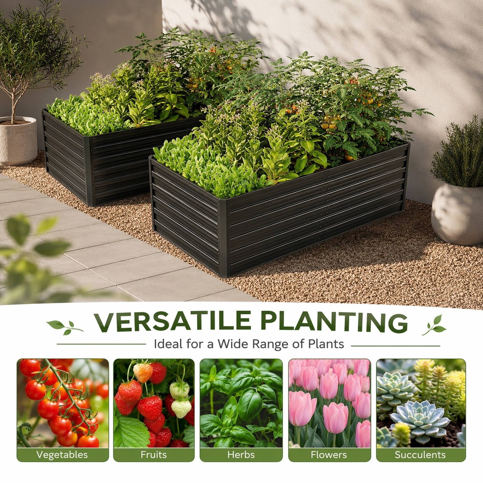 VERSATILE PLANTING  
Ideal for a Wide Range of Plants

Vegetables  
Fruits  
Herbs  
Flowers  
Succulents