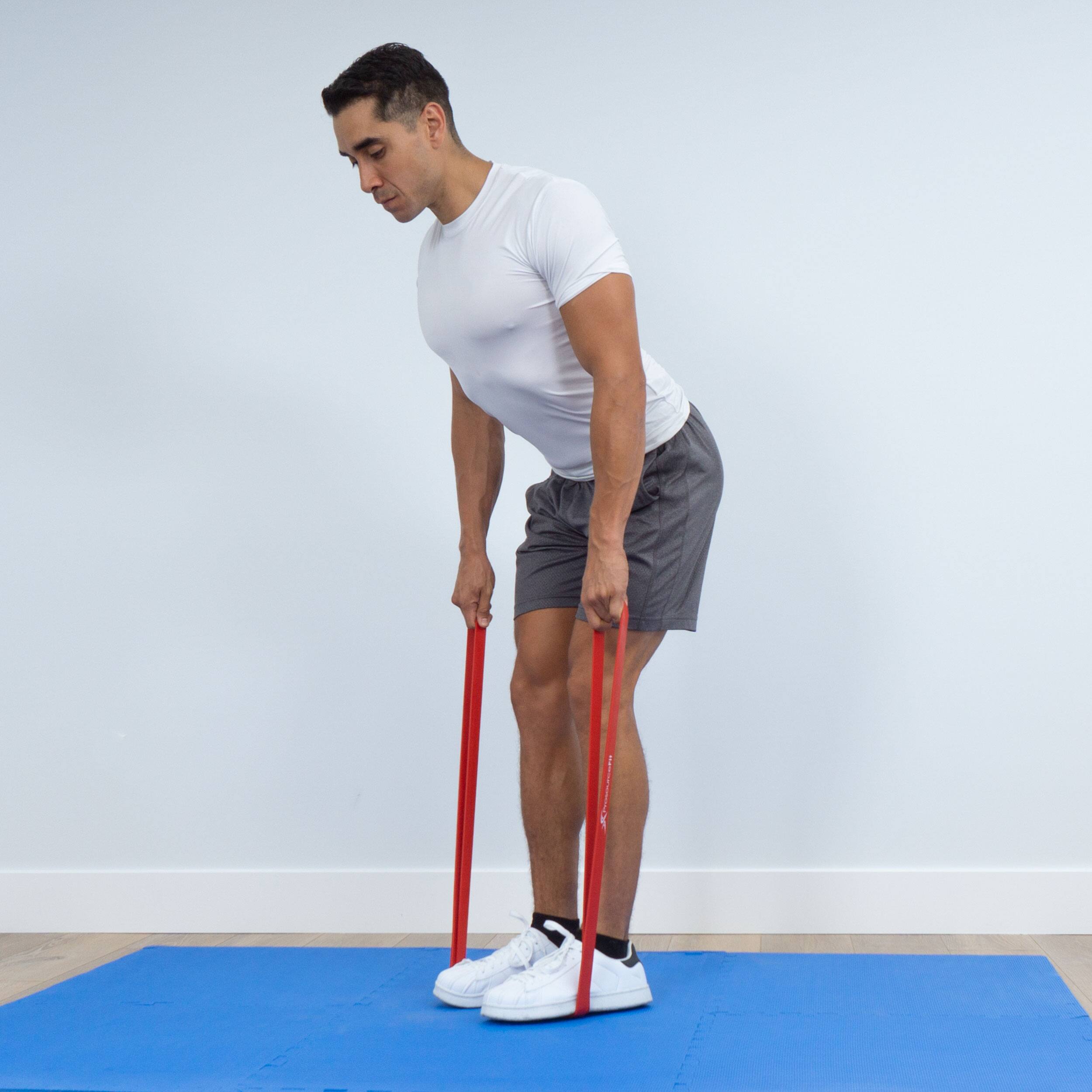 Alt View 4. ProsourceFit - ProsourceFit XFit Loop Resistance Bands Set of 5 - Assorted.