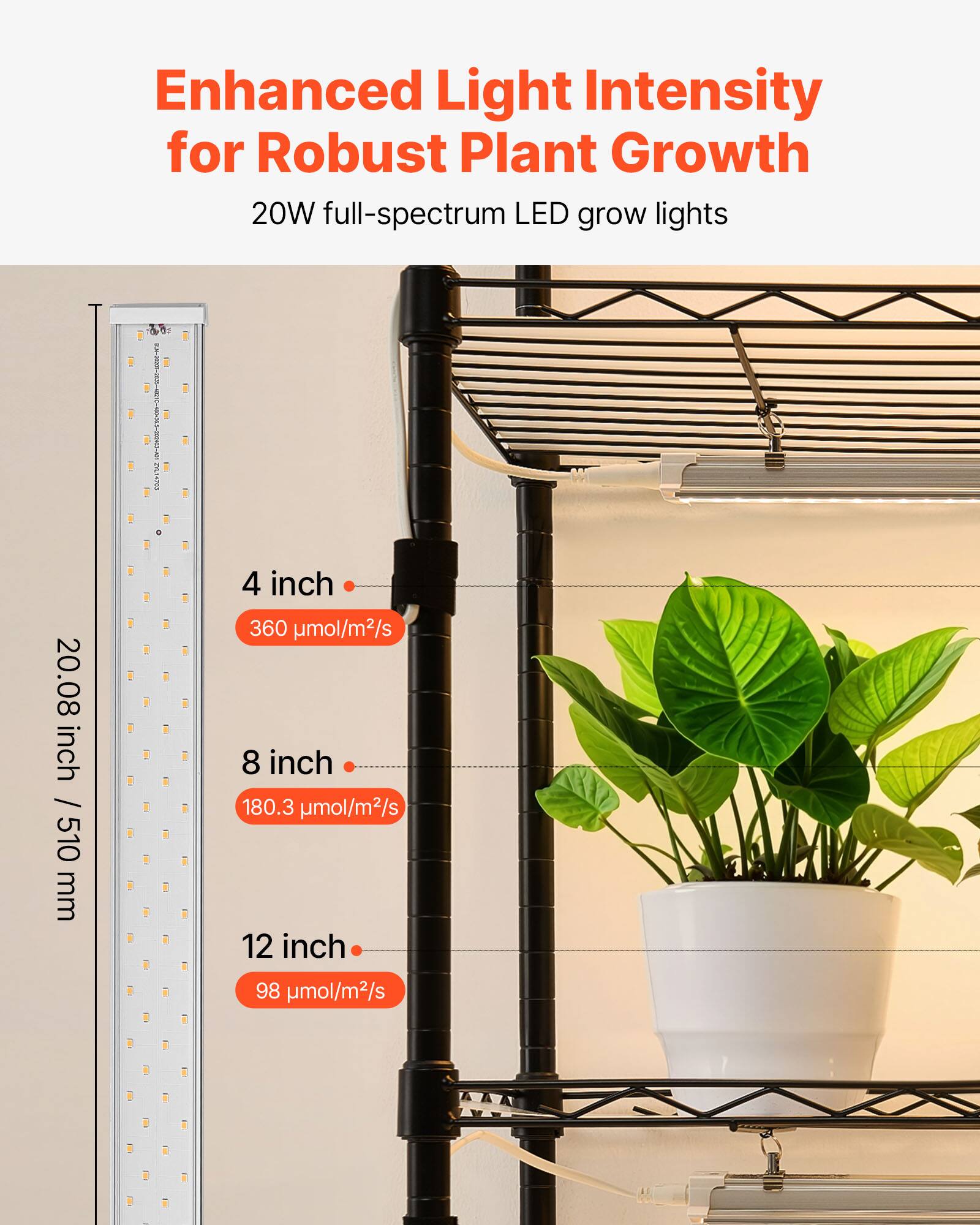 Enhanced Light Intensity for Robust Plant Growth  
20W full-spectrum LED grow lights  

20.08 inch / 510 mm  

4 inch  
360 μmol/m²/s  

8 inch  
180.3 μmol/m²/s  

12 inch  
98 μmol/m²/s