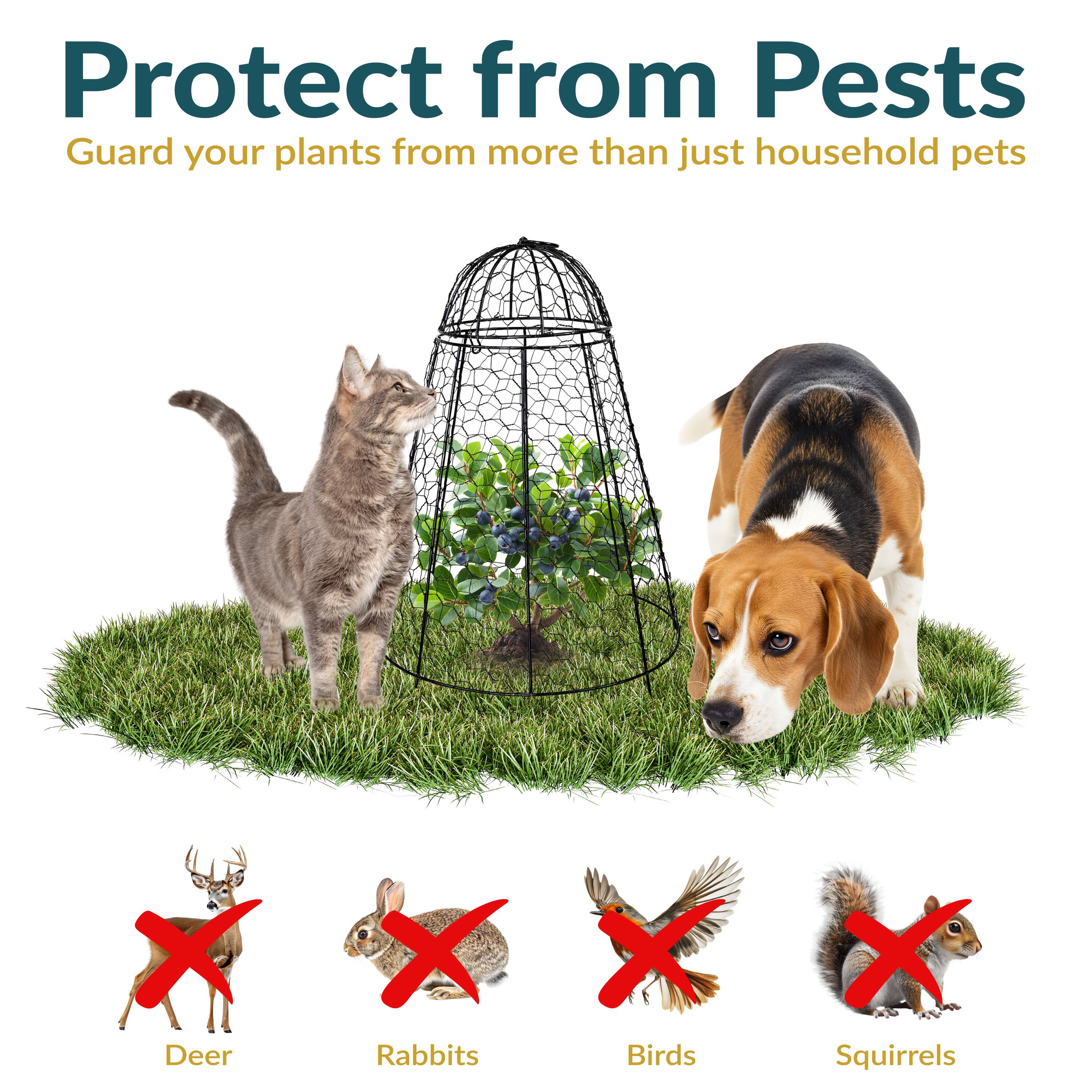 Protect from Pests  
Guard your plants from more than just household pets  

Deer  
Rabbits  
Birds  
Squirrels