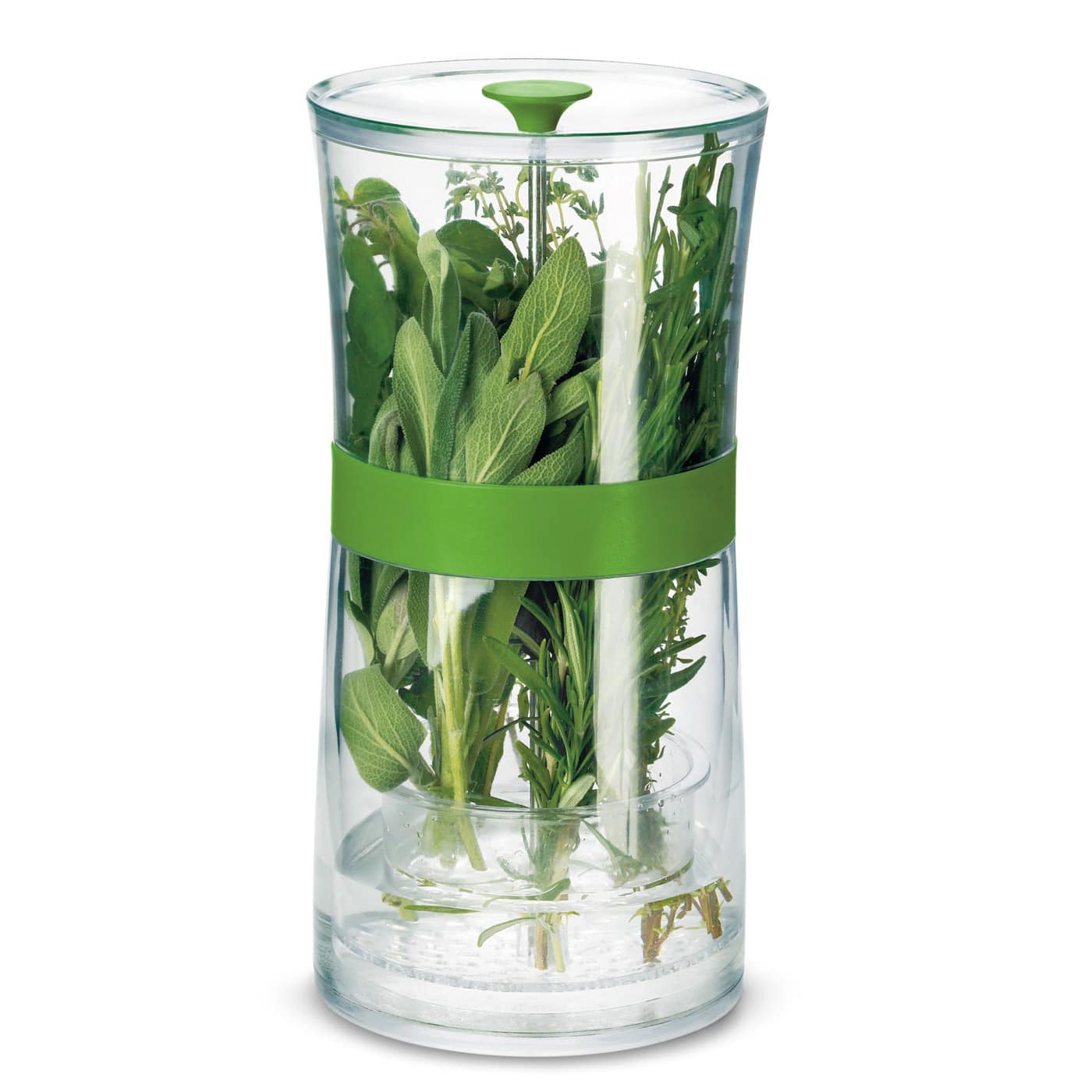 Cuisipro - Original Herb Keeper Keeps Herbs Fresh Storage Container - Green price history on PriceWatchPro