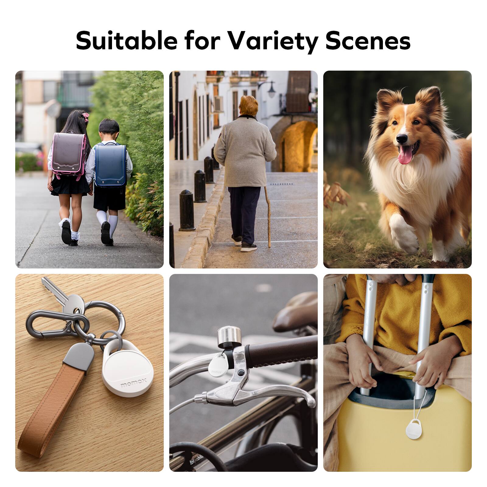 Suitable for Variety Scenes | 6 Moments