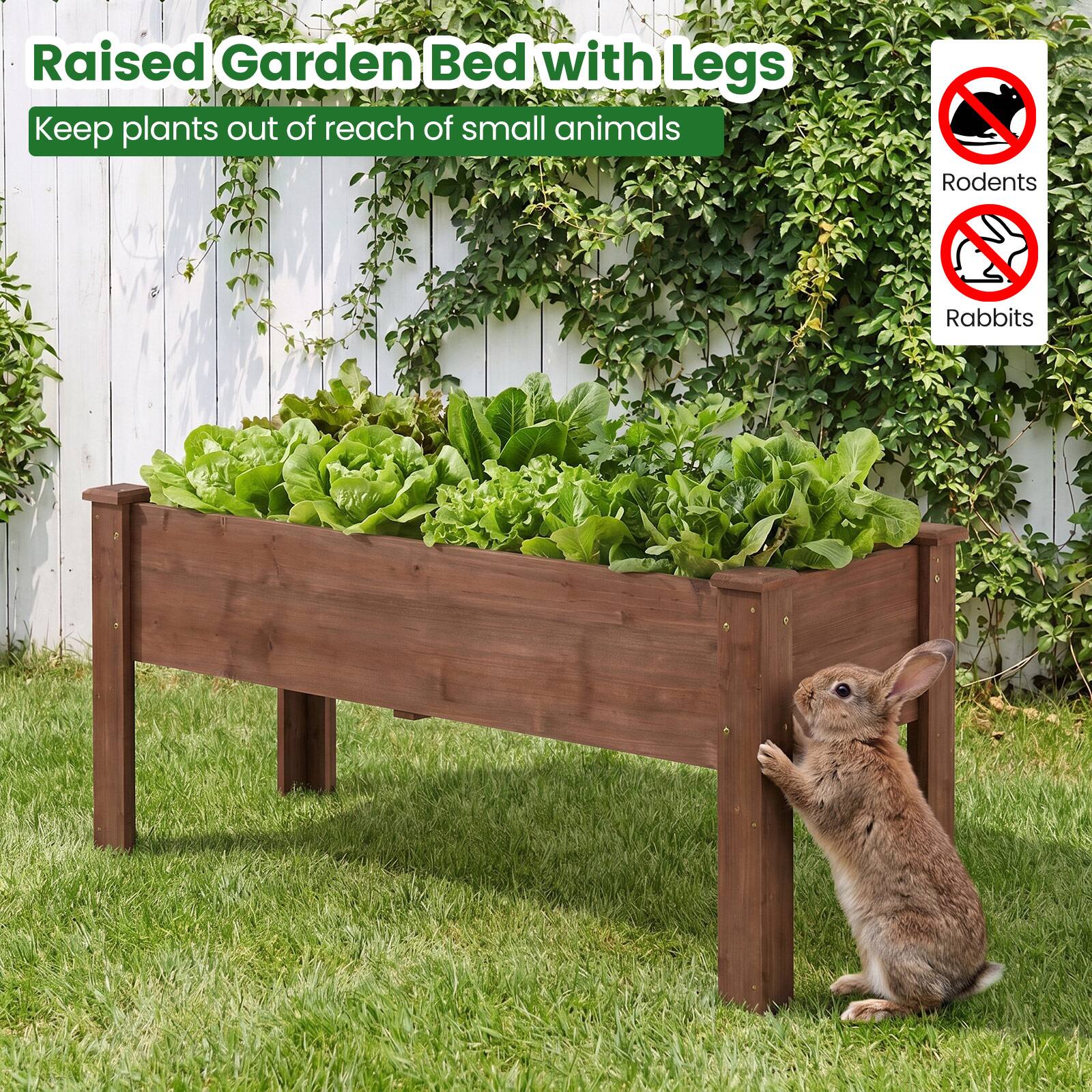 Raised Garden Bed with Legs  
Keep plants out of reach of small animals  
Rodents  
Rabbits
