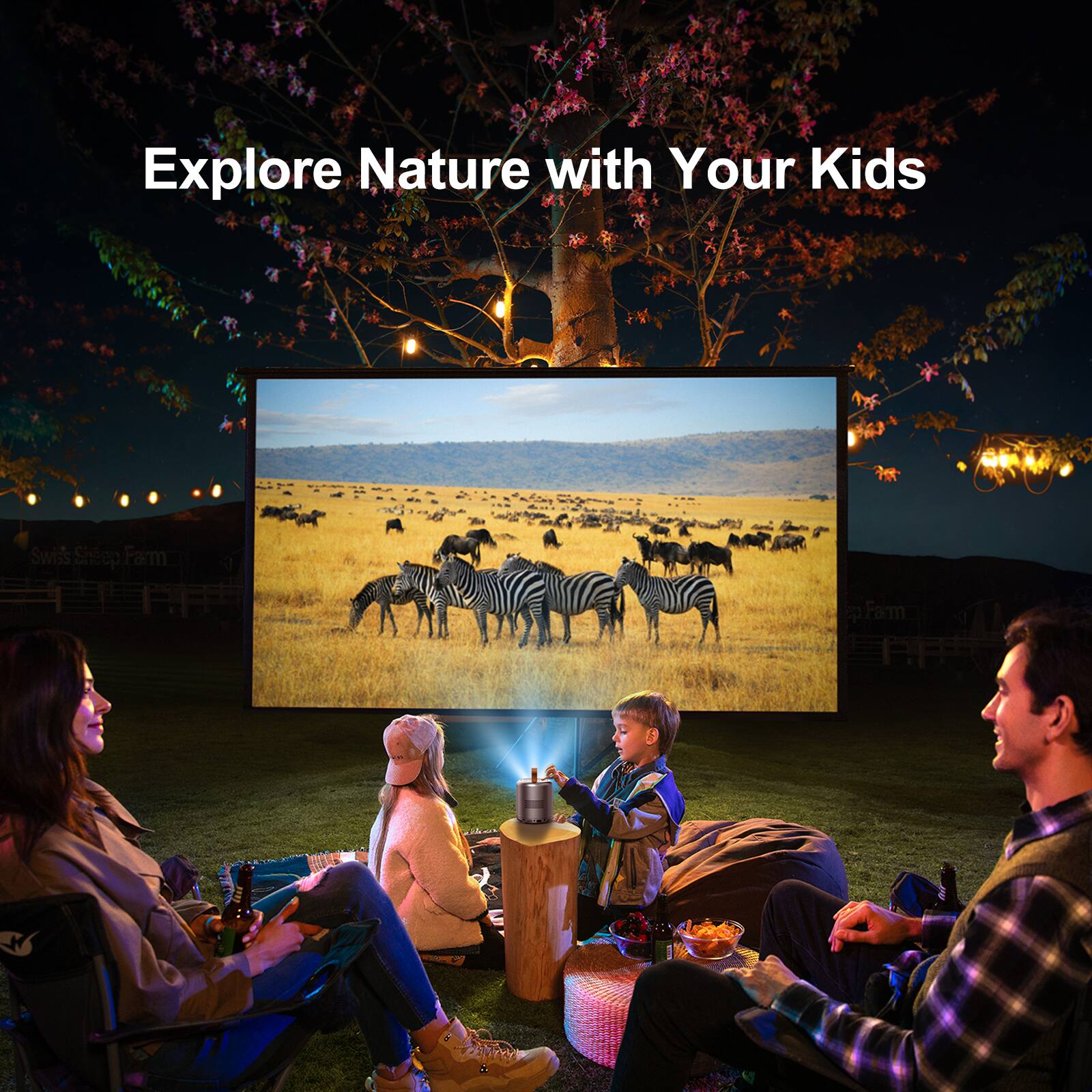 Explore Nature with Your Kids Swiss Sheep Farm