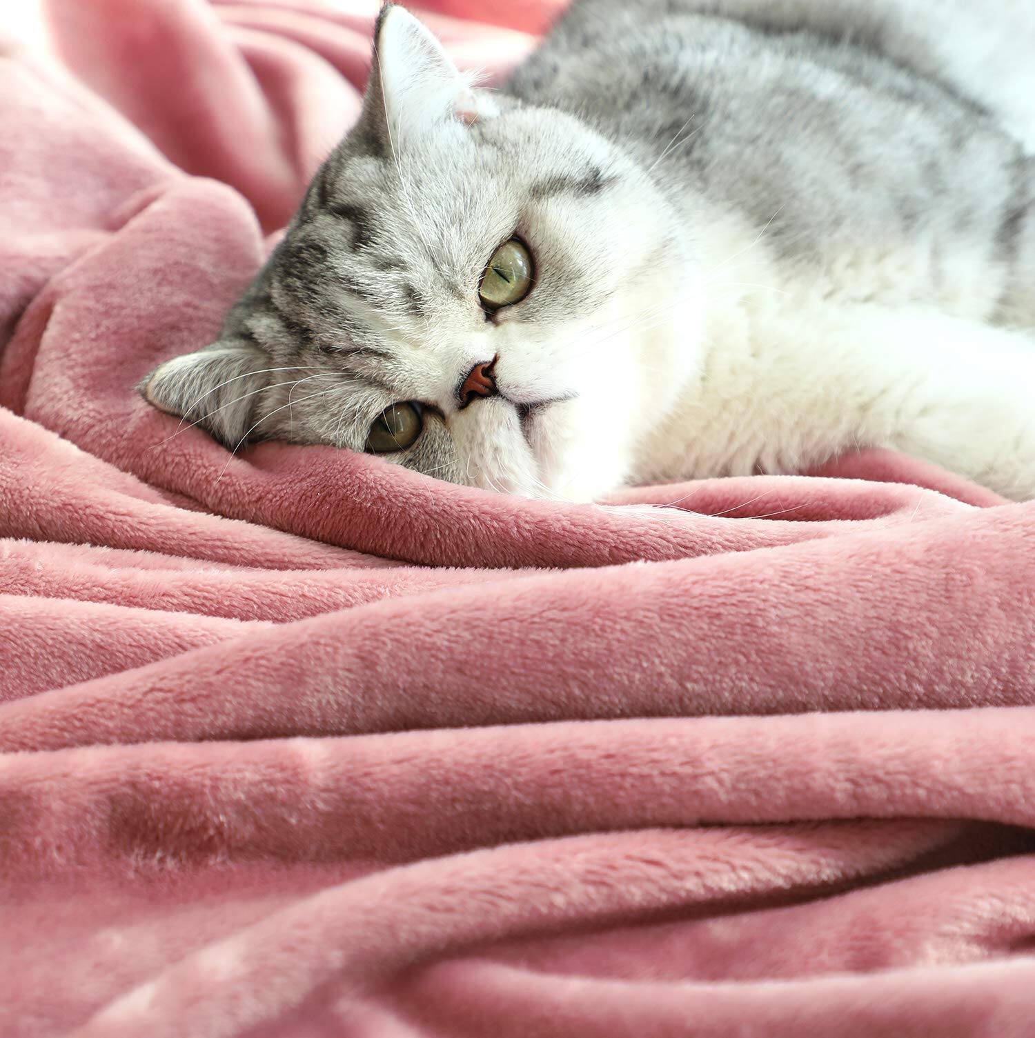 Alt View 4. ThinkLink Electronic - Large Flannel Fleece Throw Blanket  50*70 Inch - Cozy Lightweight Thick All Seasons Suitable For Women Men And (pink) - Black 60"x80".