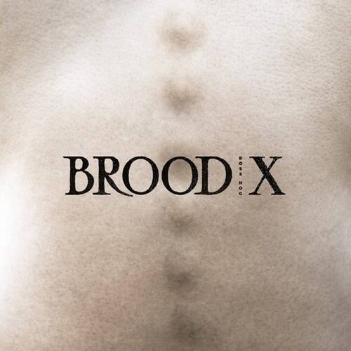 BROOD X