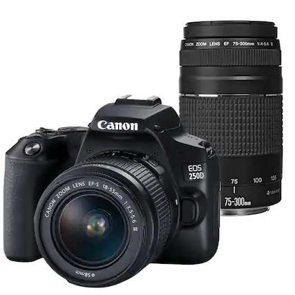 CANON ZOOM LENS EF 75-300mm 1:4-5.6 II
CANON ZOOM LENS EF-S 18-55mm 1:3.5-5.6
EOS 250D
75-300mm
75 100 135
58mm