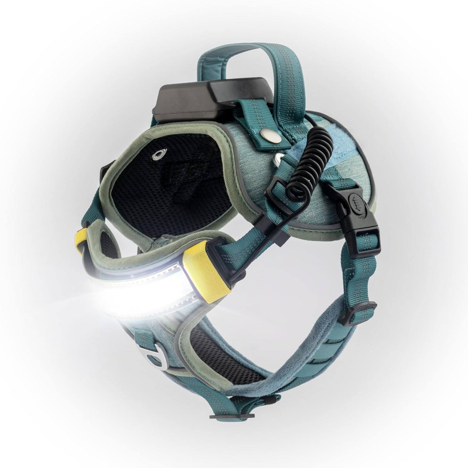 Angle. Lumi Pawtners - Lumi One LED Dog Harness Blue - Blue.