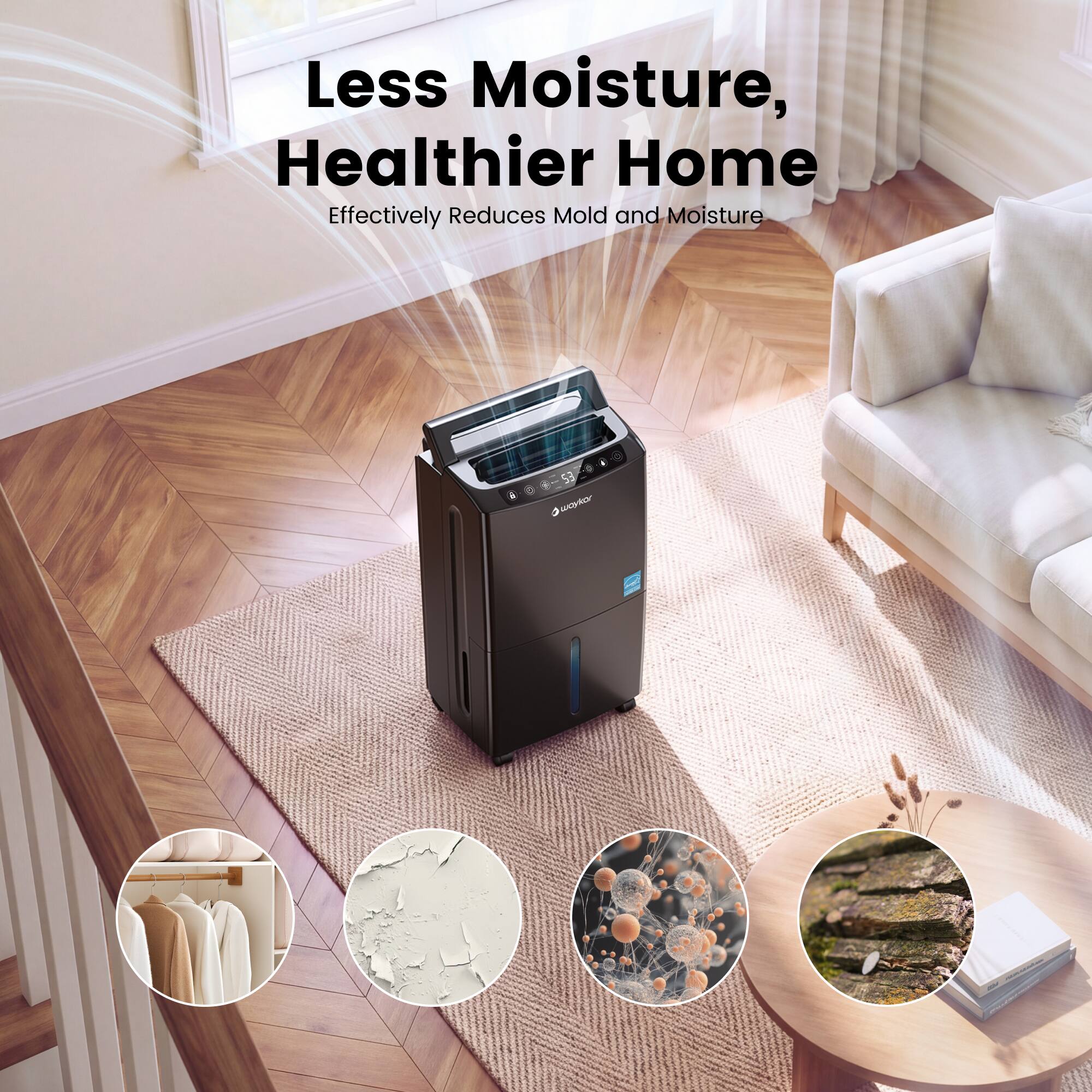 Less Moisture, Healthier Home  
Effectively Reduces Mold and Moisture