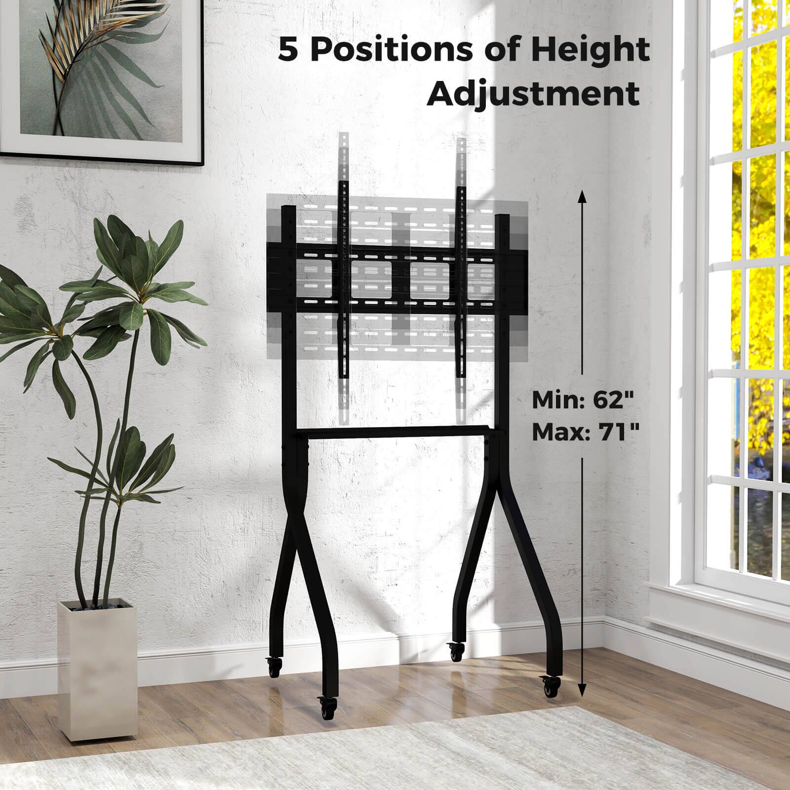 The text on the image reads "5 Positions of Height Adjustment Min: 62" Max: 71".
