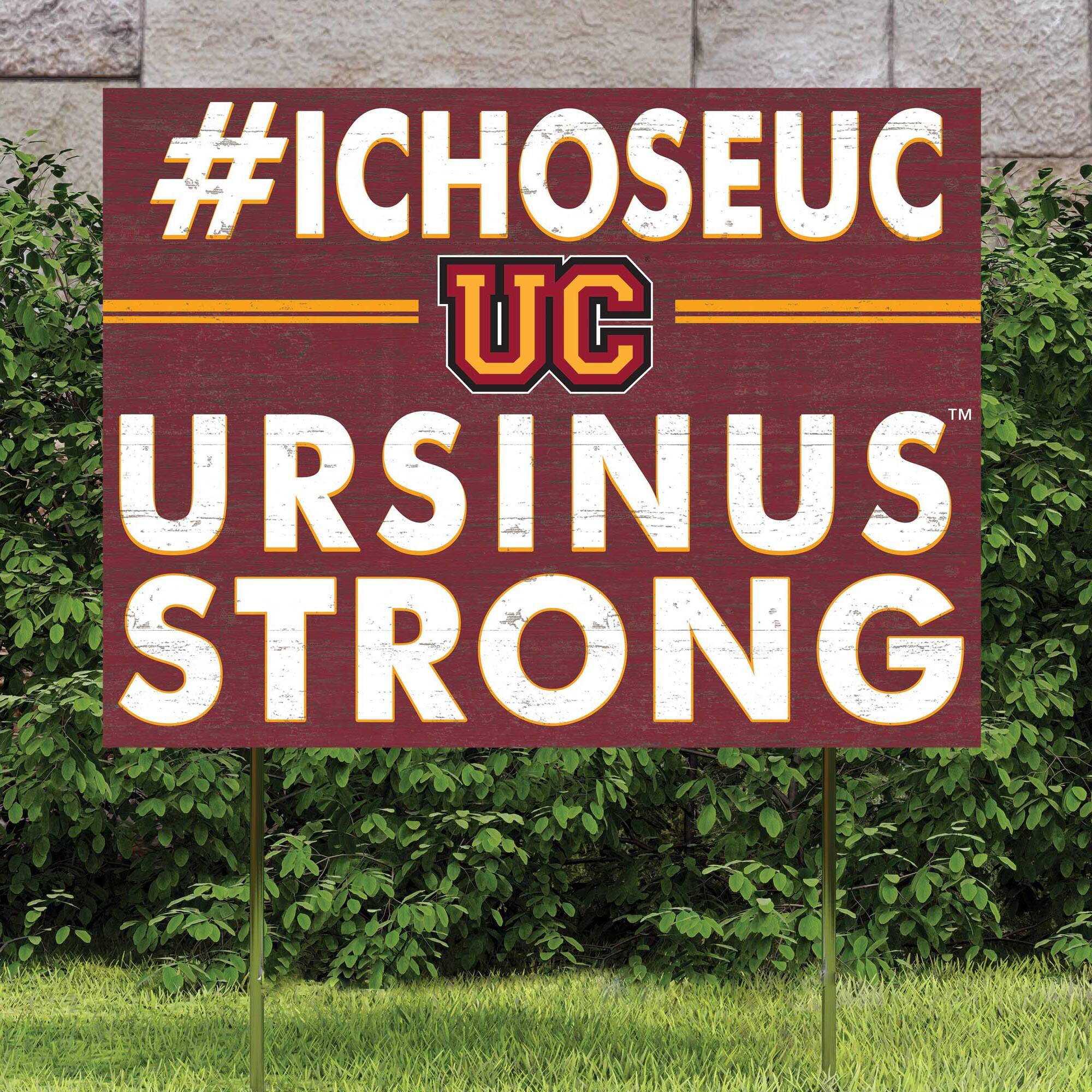 #ICHOOSEUC  
UC  
URSINUS  
STRONG