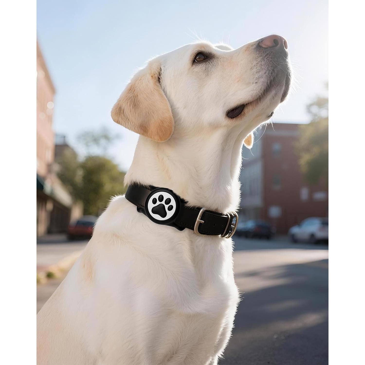 Alt View 5. Paradigms Interiors - Ip68 Waterpoof Dog Airtag Holder Stretchy Silicone Full Body Covered Air Tag For Cat Collar Fit All Width - 2* Black-2 Pack.