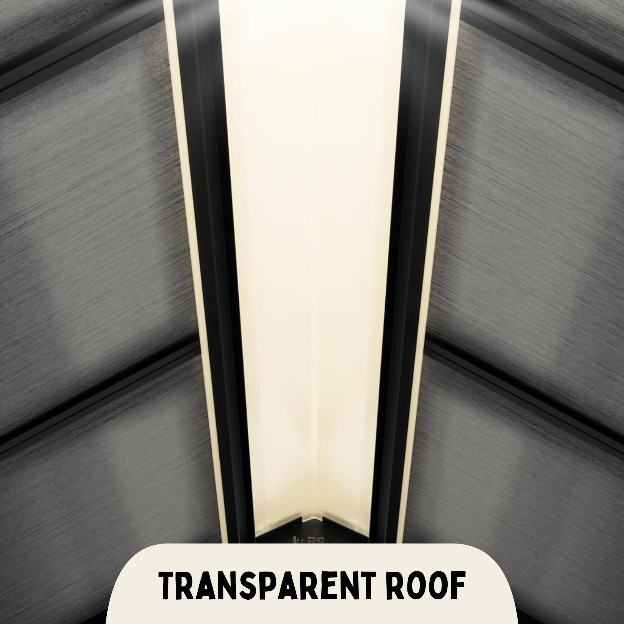 TRANSPARENT ROOF