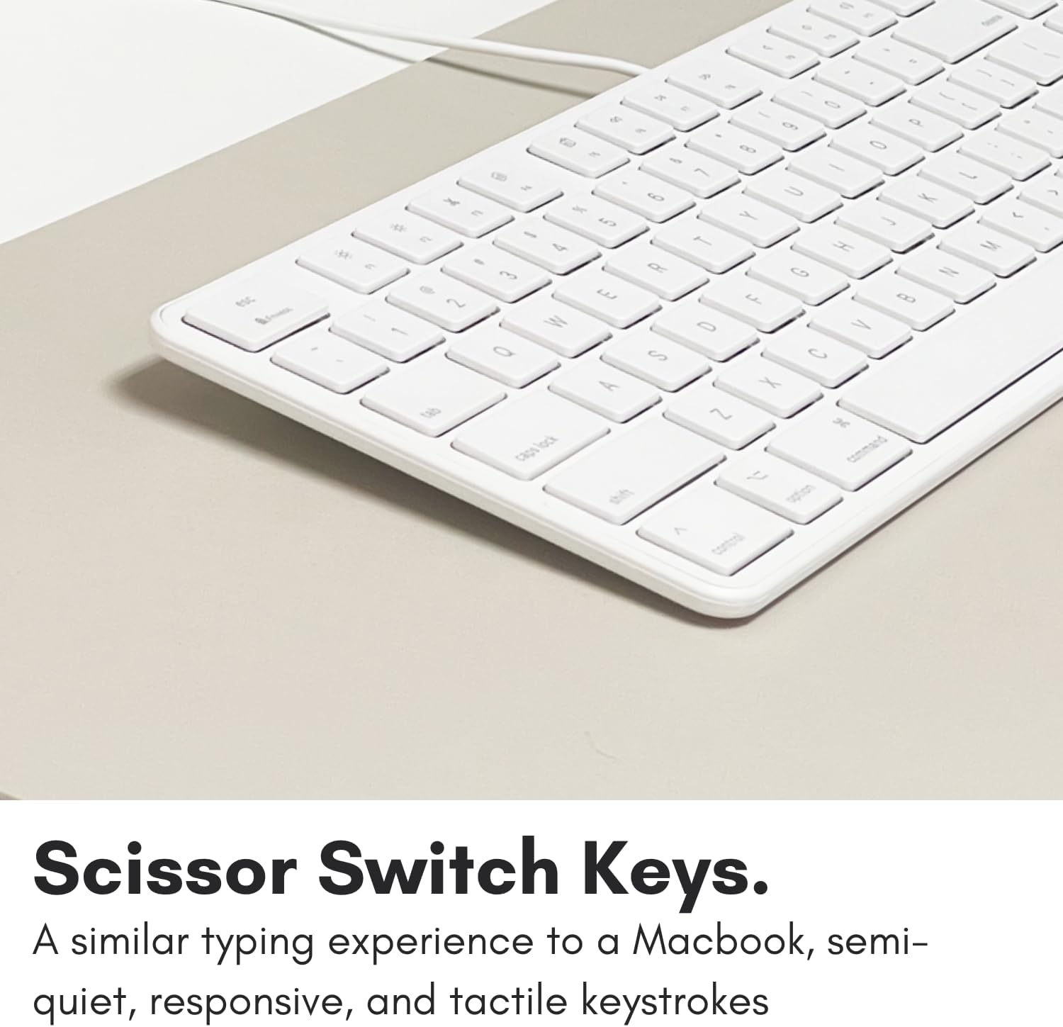 b - Z g  E - R a - O 8 9 a e - e 1 0 e - L - 2 i 2 2  5 K E e Y ) -  - E - 4 T H M - D P O G N - E B 2 F -  D = 0 S C A X g 7 D

Scissor Switch Keys. A similar typing experience to a Macbook, semi-quiet, responsive, and tactile keystrokes.