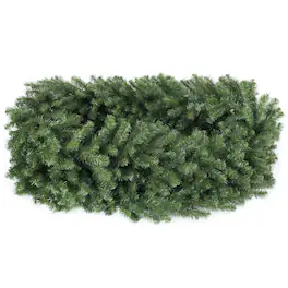 Vickerman - 50' x 16" Douglas Fir Garland 1550 Tips - Green