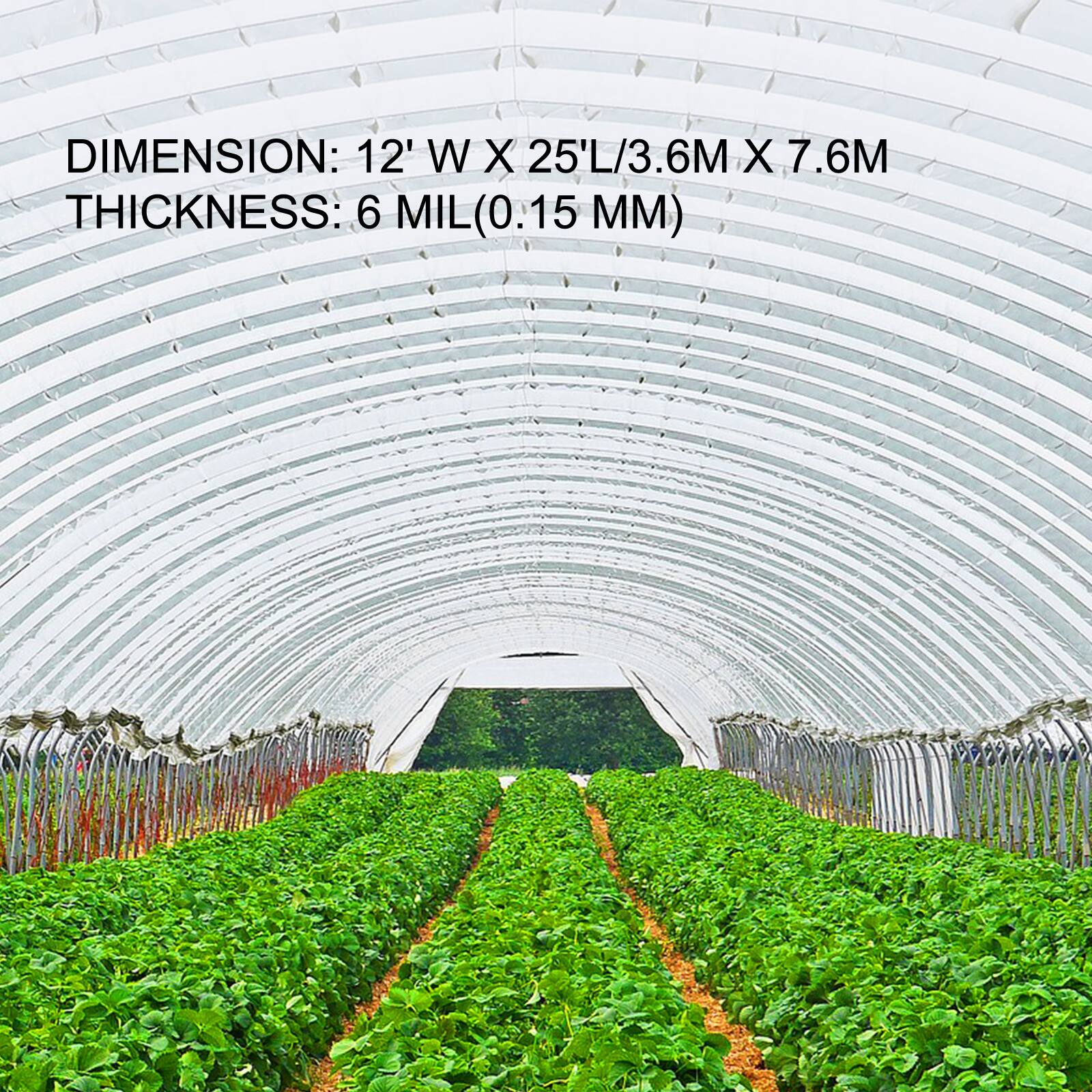 DIMENSION: 12' W X 25'L/3.6M X 7.6M  
THICKNESS: 6 MIL (0.15 MM)