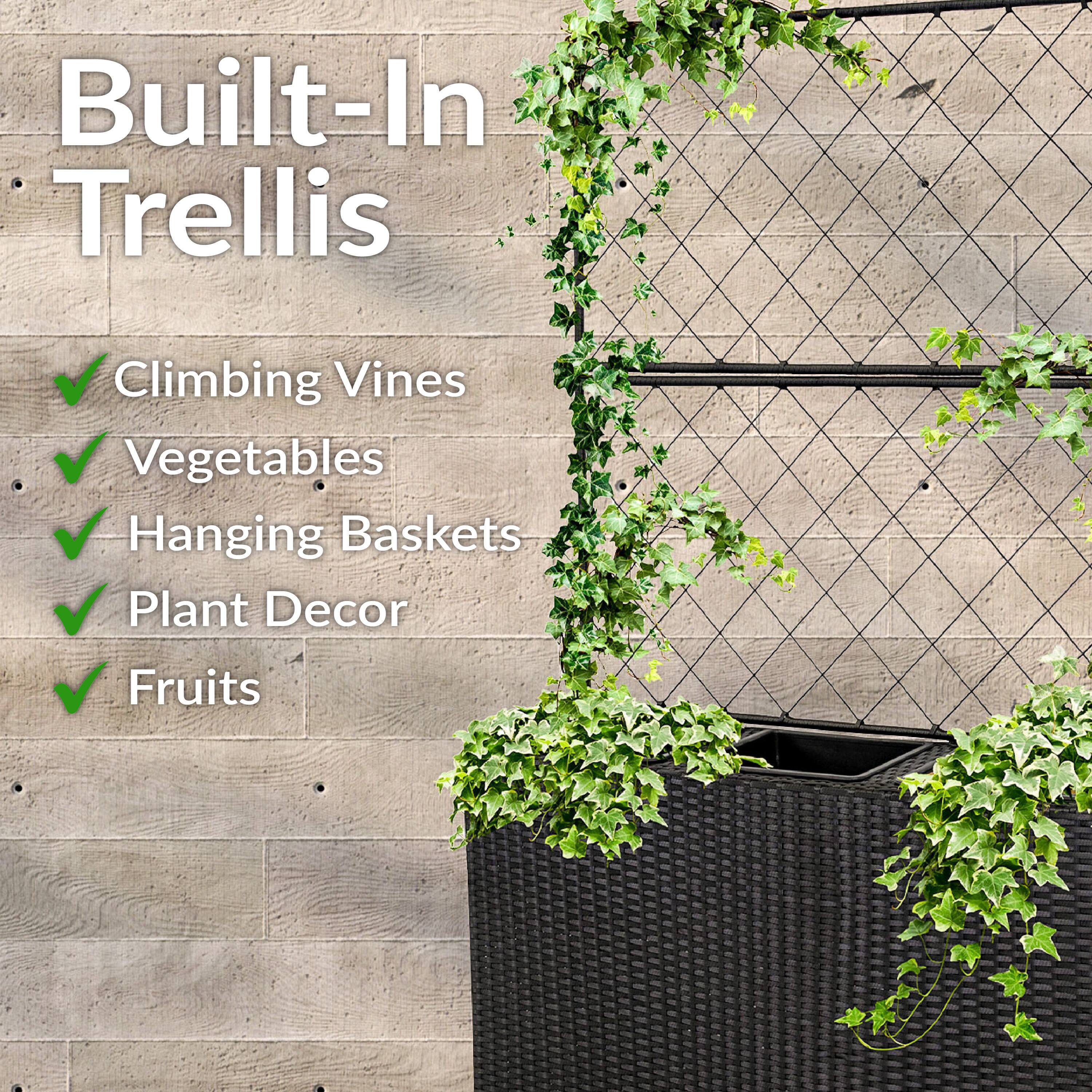 Built-In Trellis

- Climbing Vines
- Vegetables
- Hanging Baskets
- Plant Decor
- Fruits