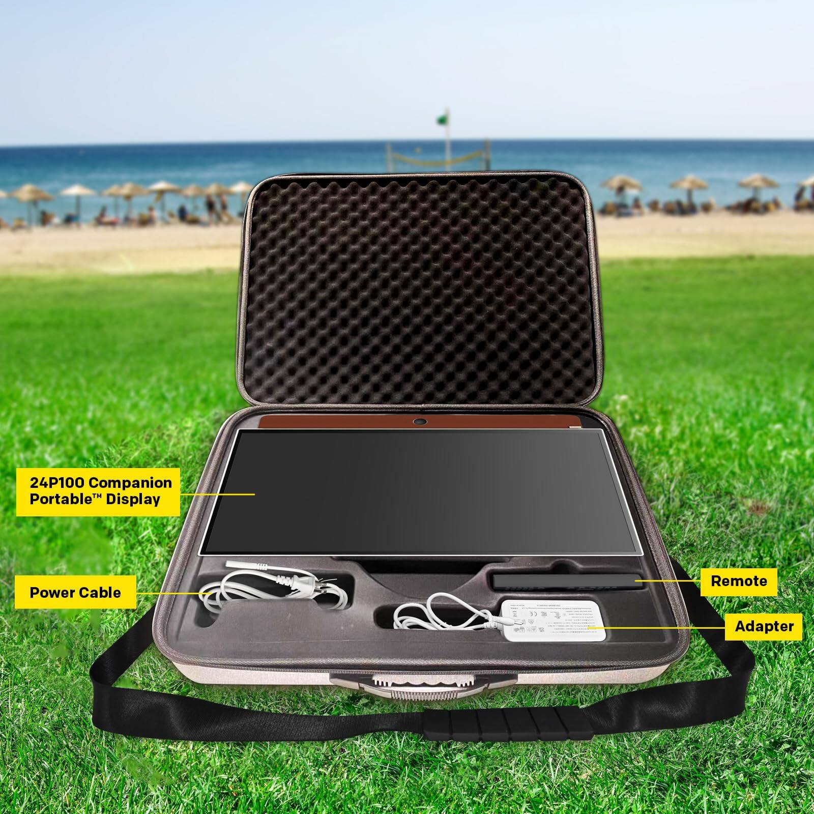 24P100 Companion Portable Display  
Power Cable  
Remote Adapter