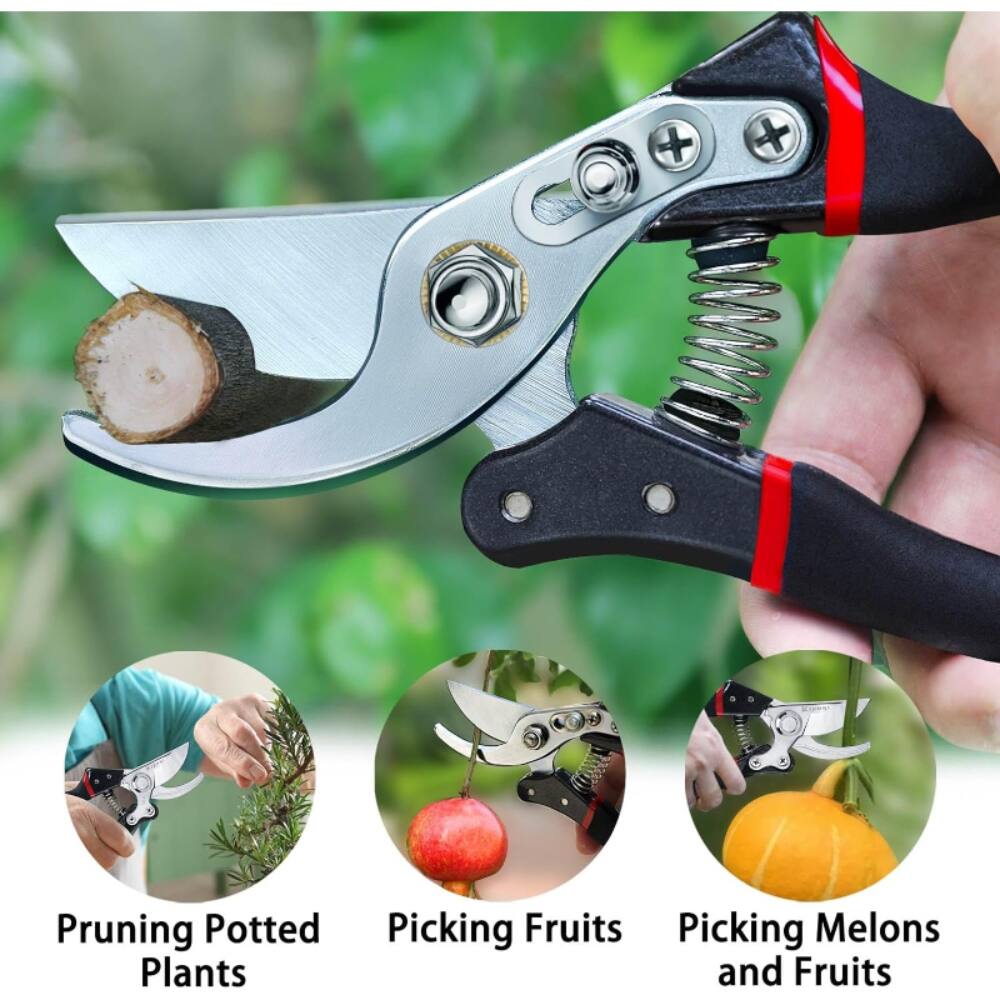 Pruning Potted Plants, Picking Fruits, Picking Melons and Fruits