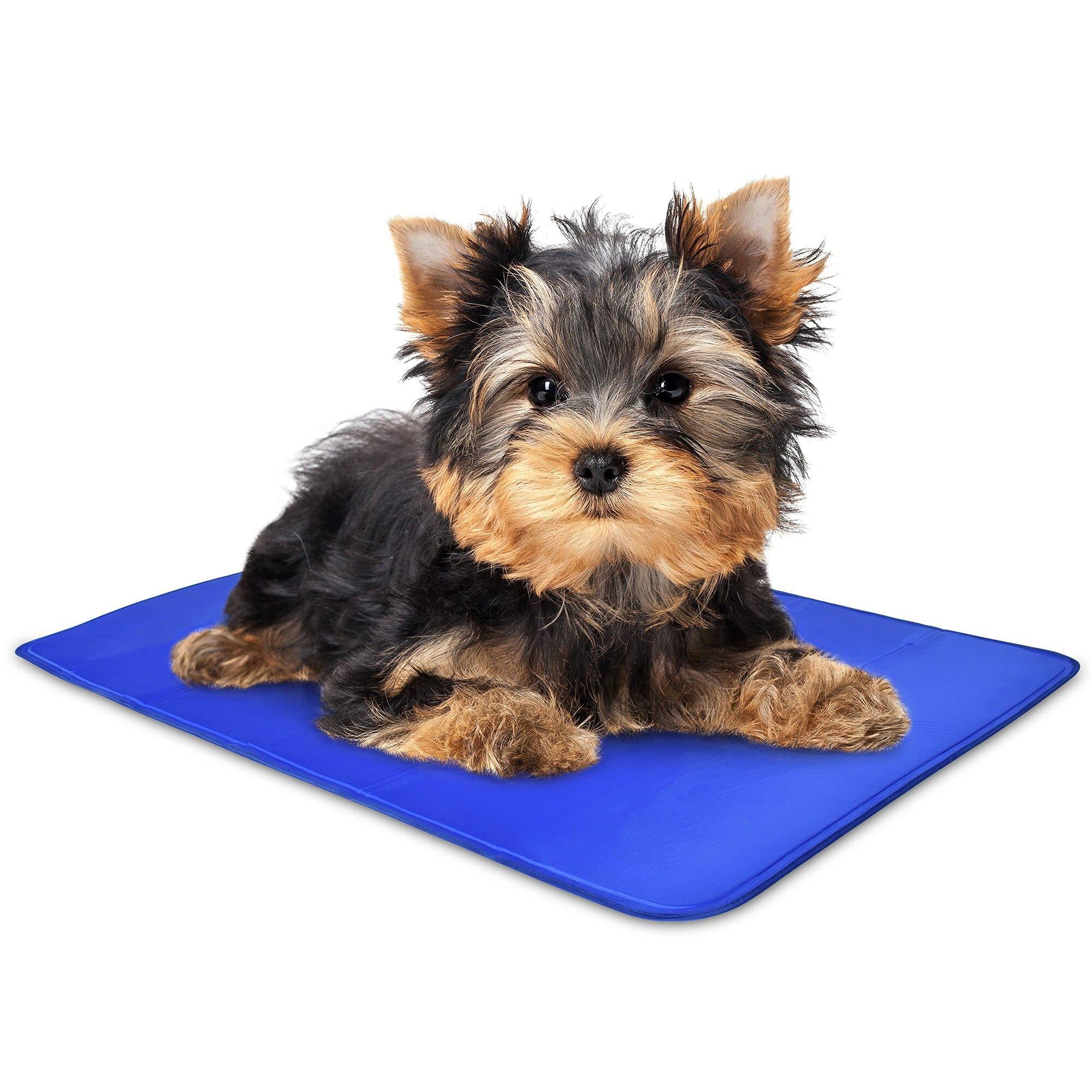 Front. Arf Pets - Dog Cooling Mat, Durable, Non-Toxic Gel Dog Bed Mat for Kennels, Crates & Beds - X-Small - Blue.