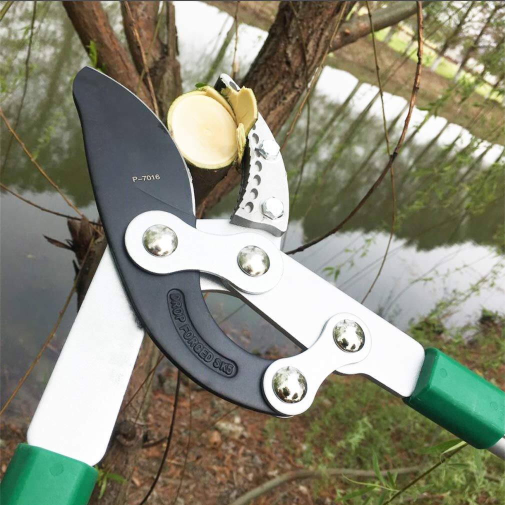 P-7016  
DROP FORGED SK5