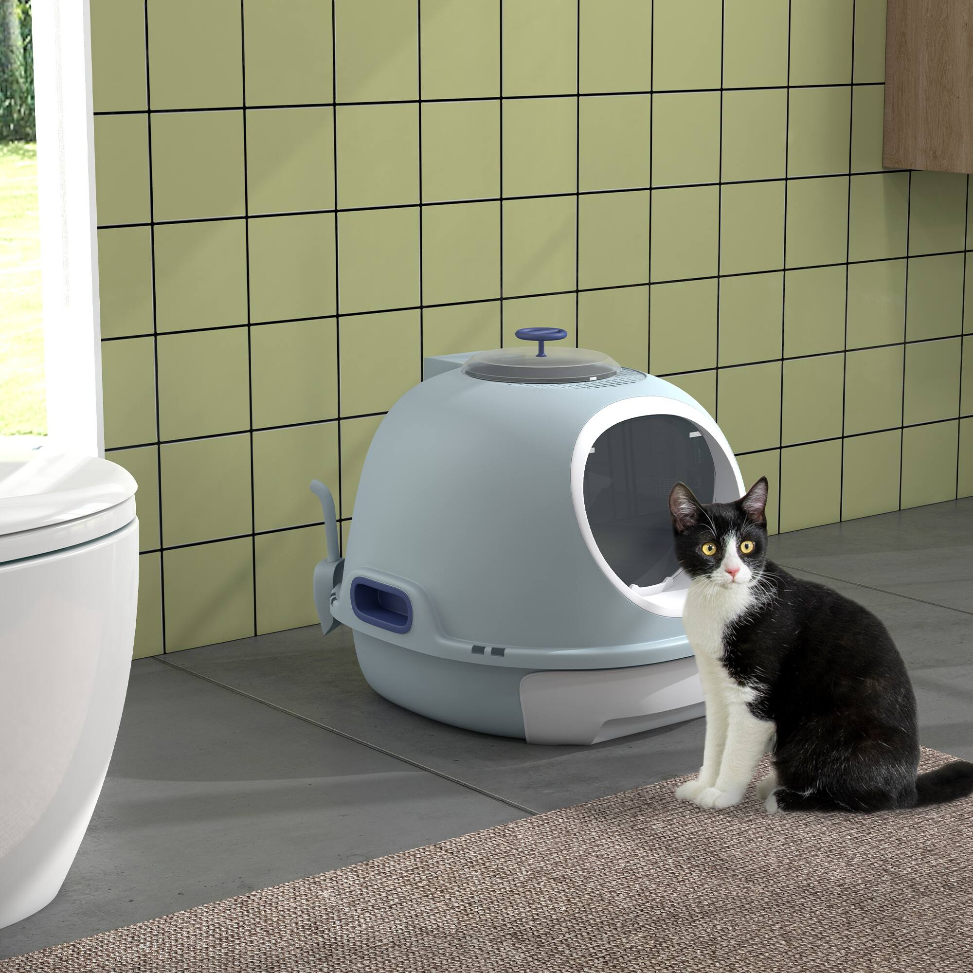 Angle. Pawhut - Covered Cat Litter Box, Kitty Litter Box with a Lid, Scoop Enclosed Drawer & Skylight for Cats, Easy to Clean - Blue.