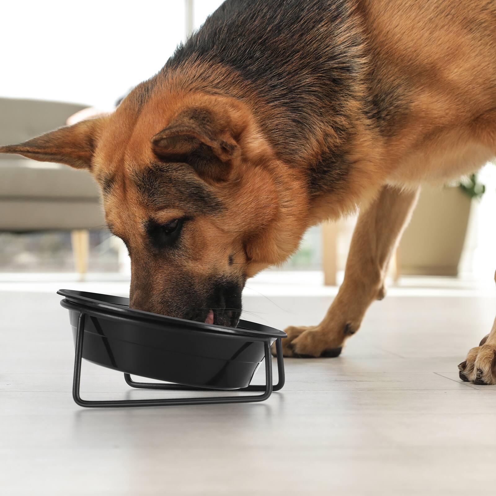 Alt View 4. Oumilen - Disposable Pet Bowls 50 Pack – 6.1" Black Plastic Dog Cat Feed Bowls, Leak-Resistant for Dry Wet Food Water  - Black.