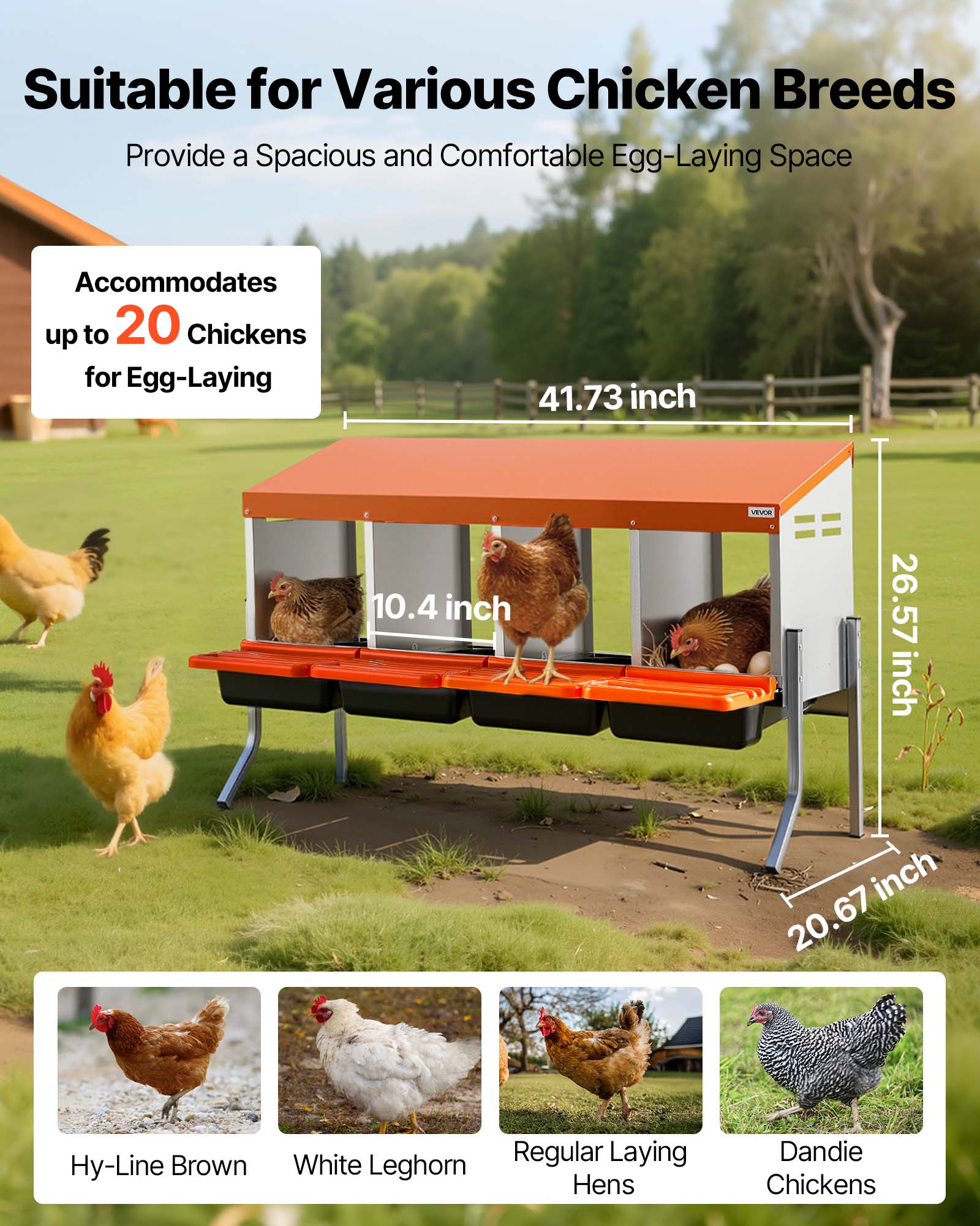 Suitable for Various Chicken Breeds  
Provide a Spacious and Comfortable Egg-Laying Space  

Accommodates up to 20 Chickens for Egg-Laying  

41.73 inch  
10.4 inch  
26.57 inch  
20.67 inch  

Hy-Line Brown  
White Leghorn  
Regular Laying Hens  
Dandie Chickens