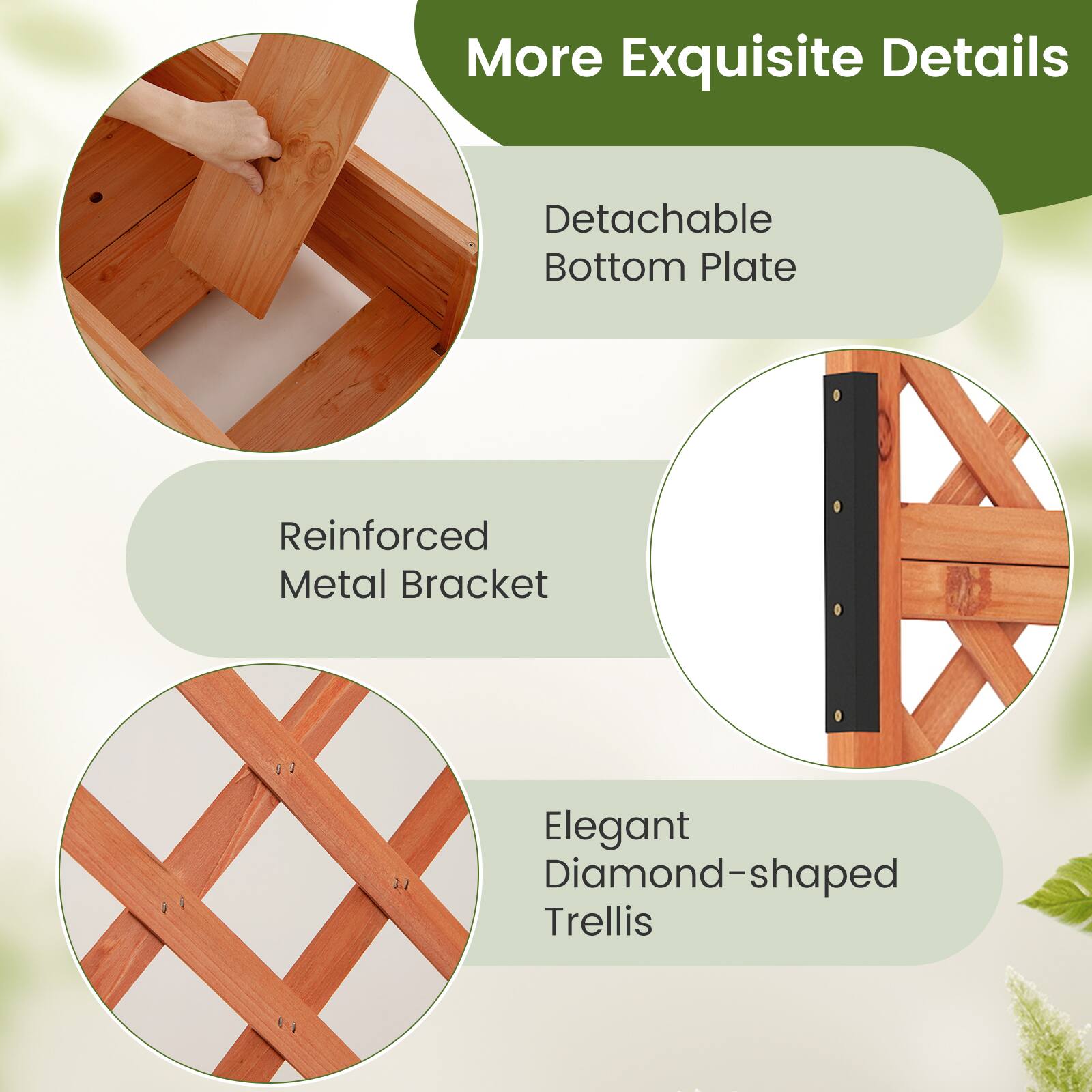 More Exquisite Details

- Detachable Bottom Plate
- Reinforced Metal Bracket
- Elegant Diamond-shaped Trellis