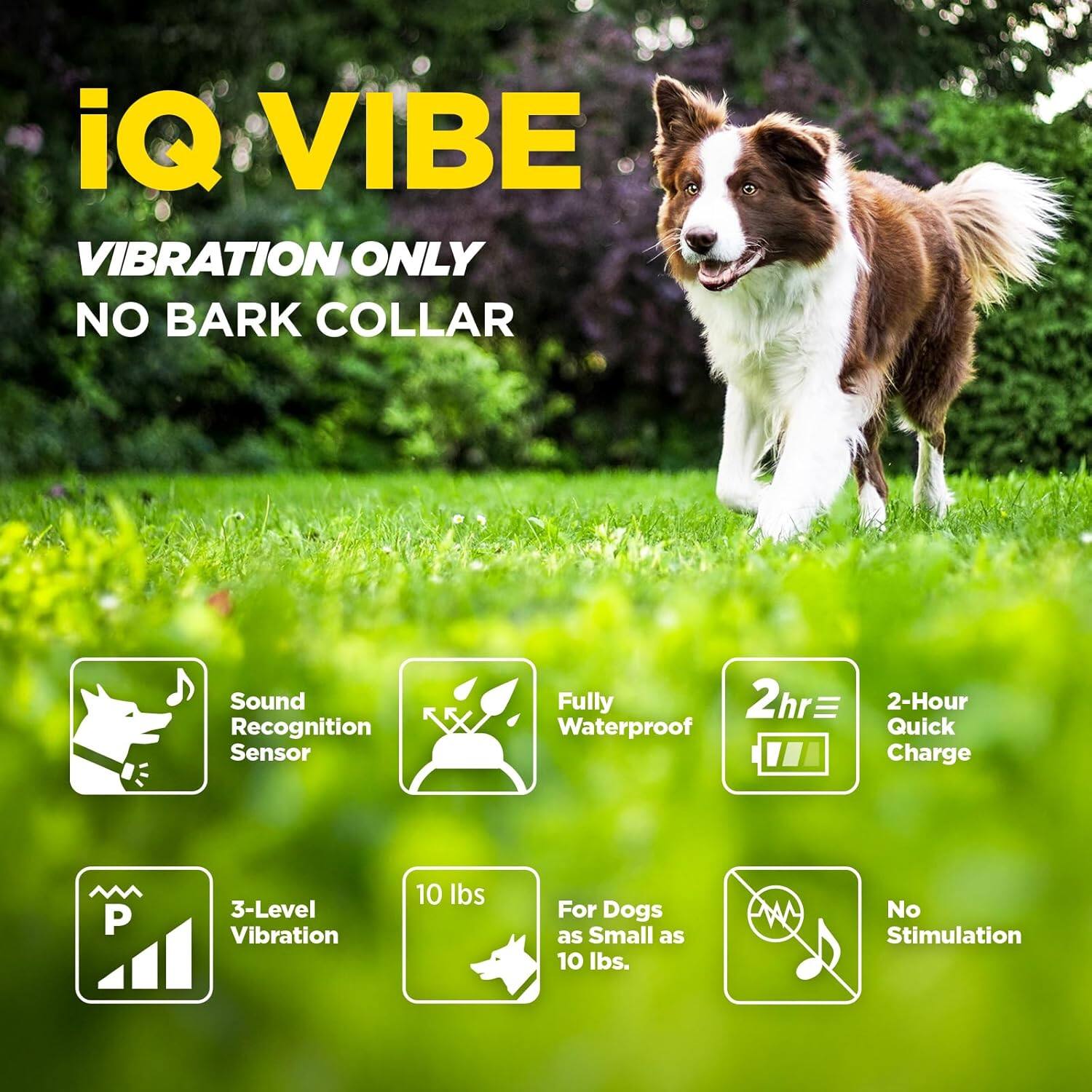 iQ VIBE  
VIBRATION ONLY  
NO BARK COLLAR  

- Sound Recognition Sensor  
- Fully Waterproof  
- 2-Hour Quick Charge  
- 3-Level Vibration  
- 10 lbs  
- For Dogs as Small as 10 lbs  
- No Stimulation