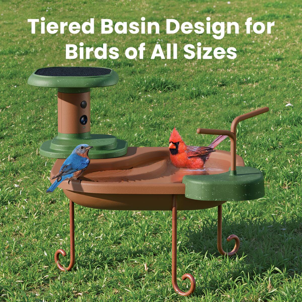Tiered Basin Design for Birds of All Sizes