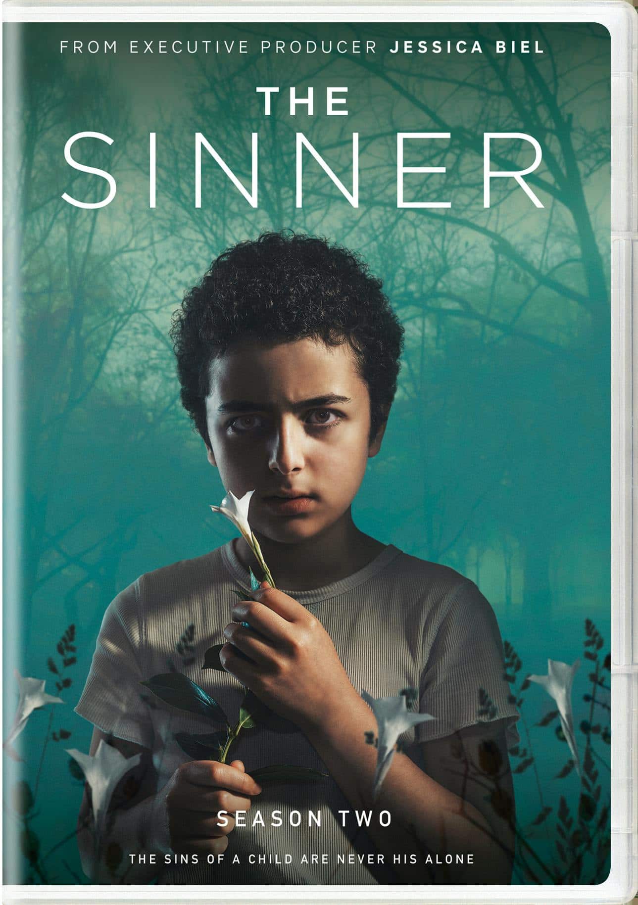 Front. The Sinner: Season Two [DVD].