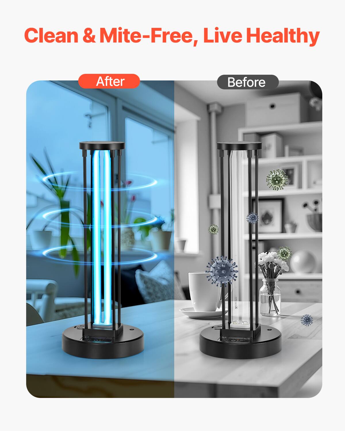 Clean & Mite-Free, Live Healthy

After | Before