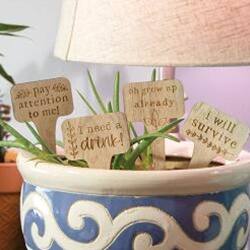 - Pay attention to me!
- Grow up already
- I need a drink!
- I will survive