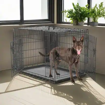 Front. Pefilos - 36" Dog Crates for Large Dogs Folding Mental Wire Pet Cage Outdoor and Indoor Dog Kennels with Double-Door.