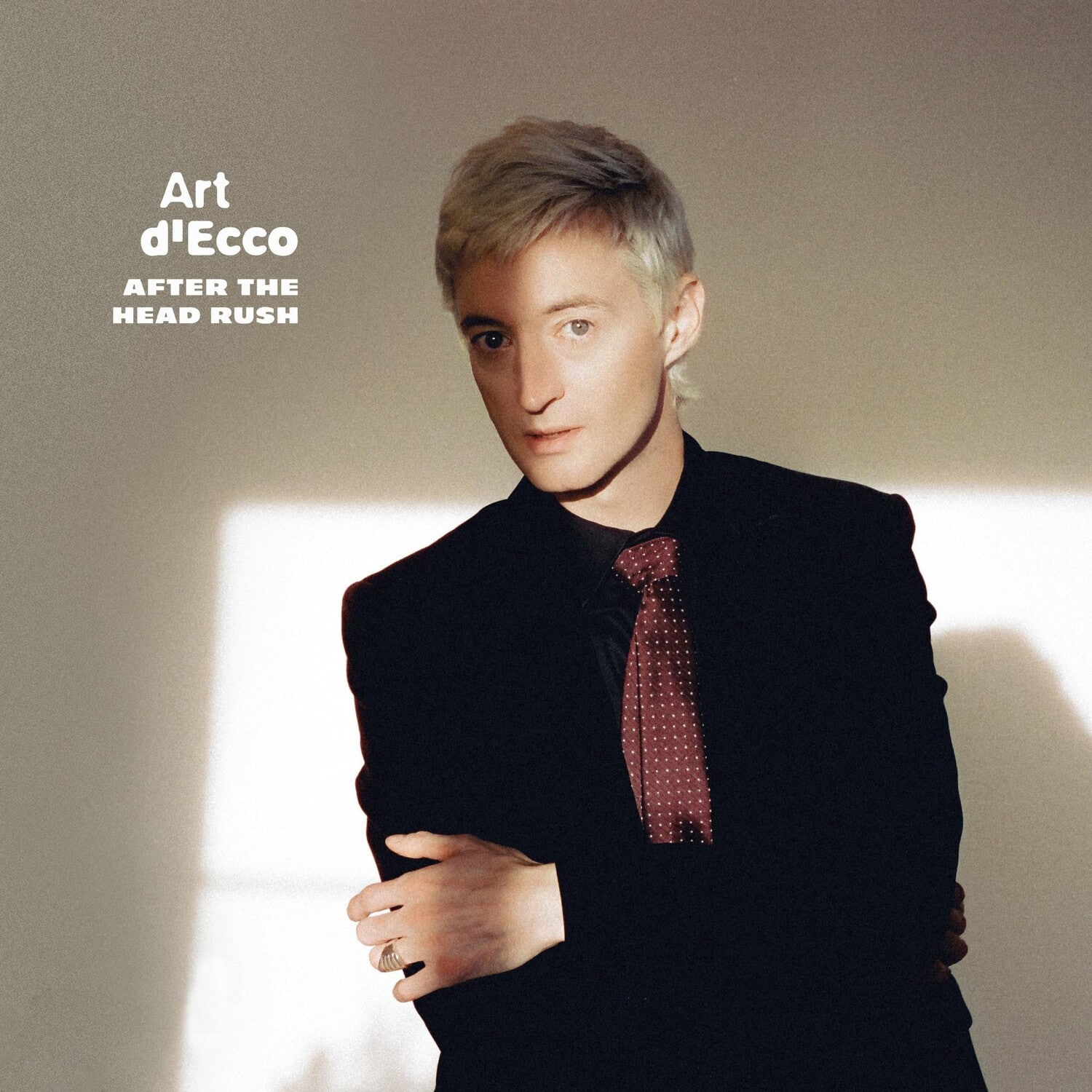Art D'Ecco - After The Head Rush   - VINYL LP price history on PriceWatchPro