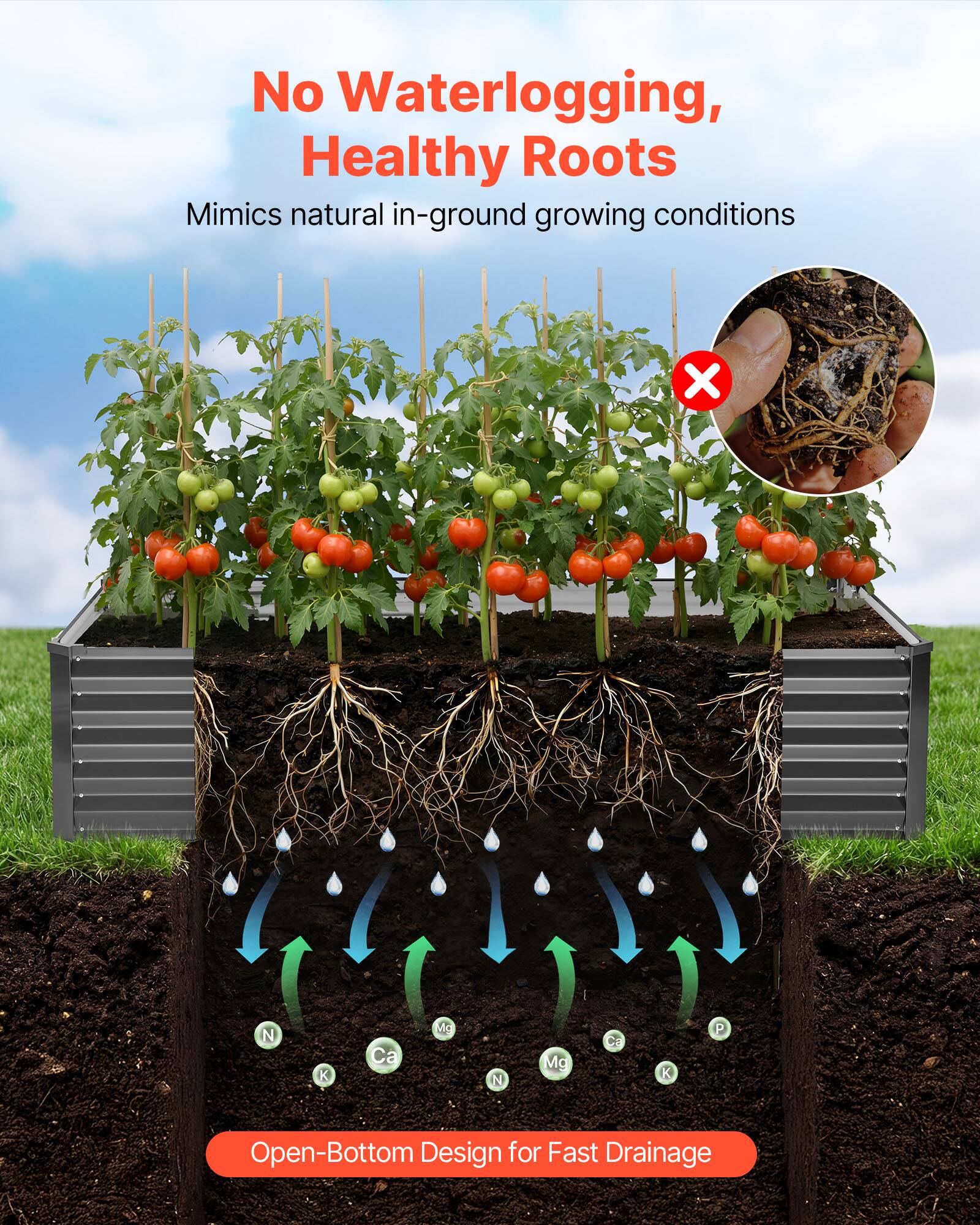 No Waterlogging, Healthy Roots  
Mimics natural in-ground growing conditions  

Open-Bottom Design for Fast Drainage