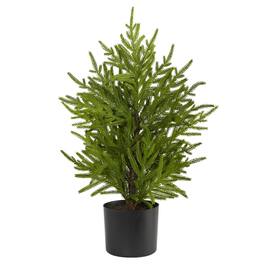 BreeBe - 2’ Norfolk Island Pine “Natural Look” Tree in Planter - Multicolor