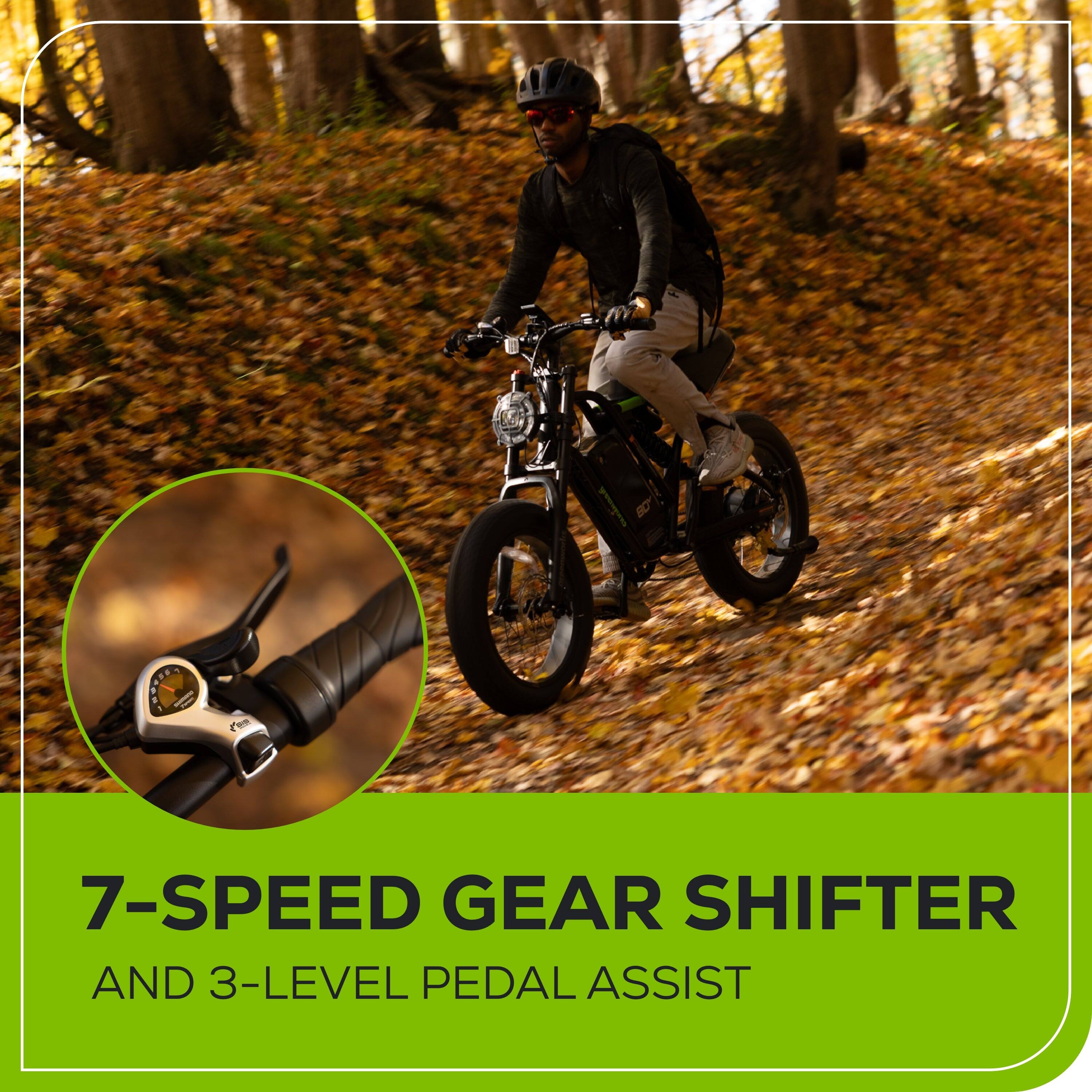 7-SPEED GEAR SHIFTER AND 3-LEVEL PEDAL ASSIST
