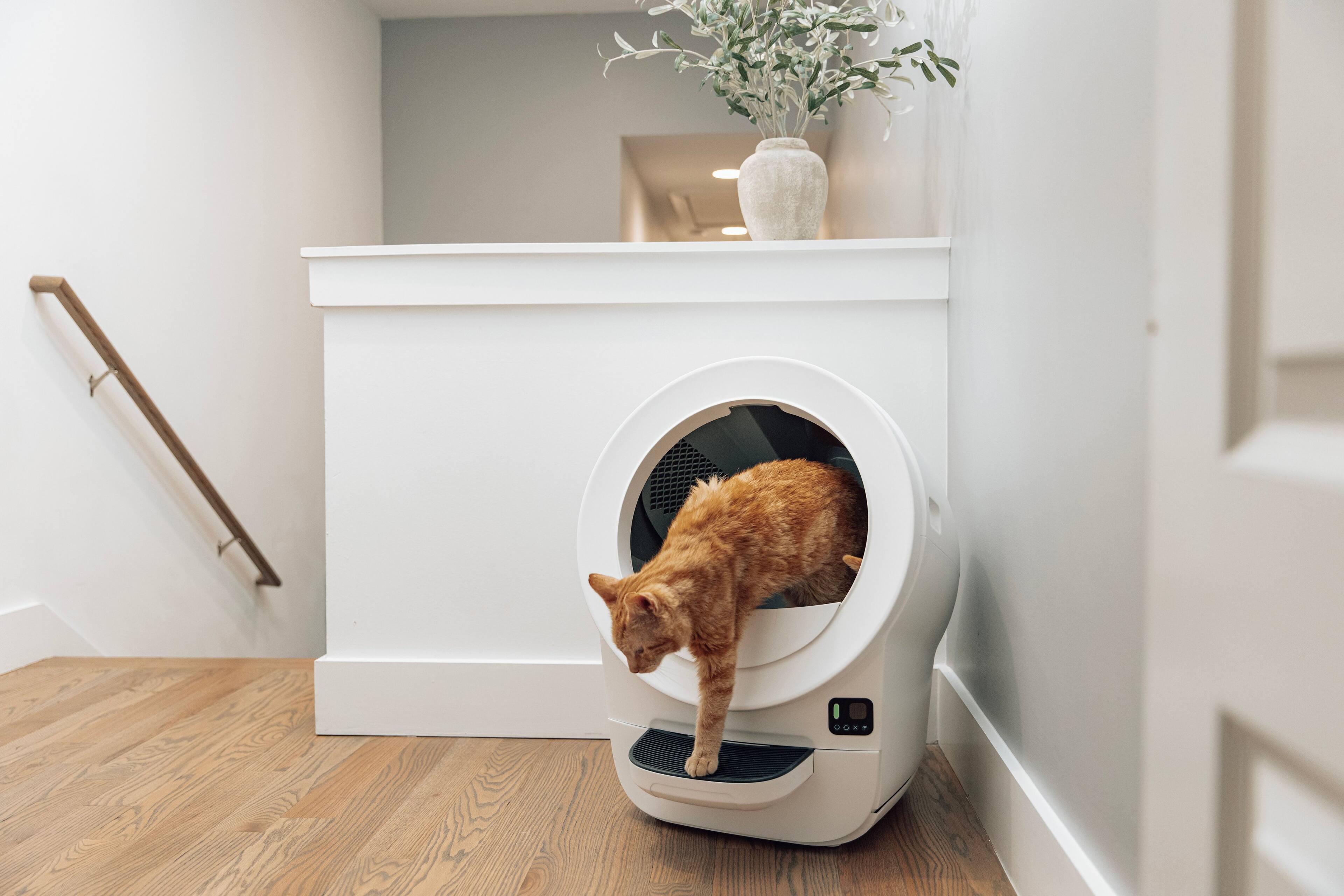Alt View 7. Whisker - Litter-Robot® EVO Compact Smart App-Controlled Automatic Self-Cleaning Litter Box - White.