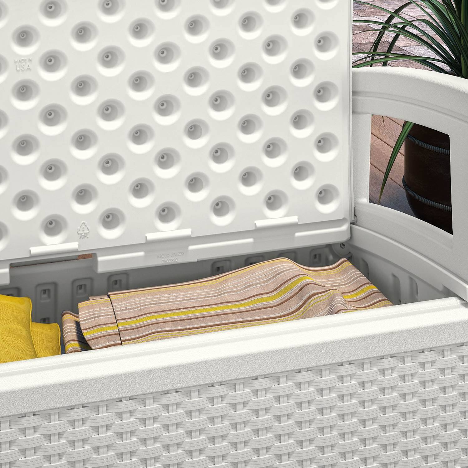 USA XEPE MCLD ddaed C