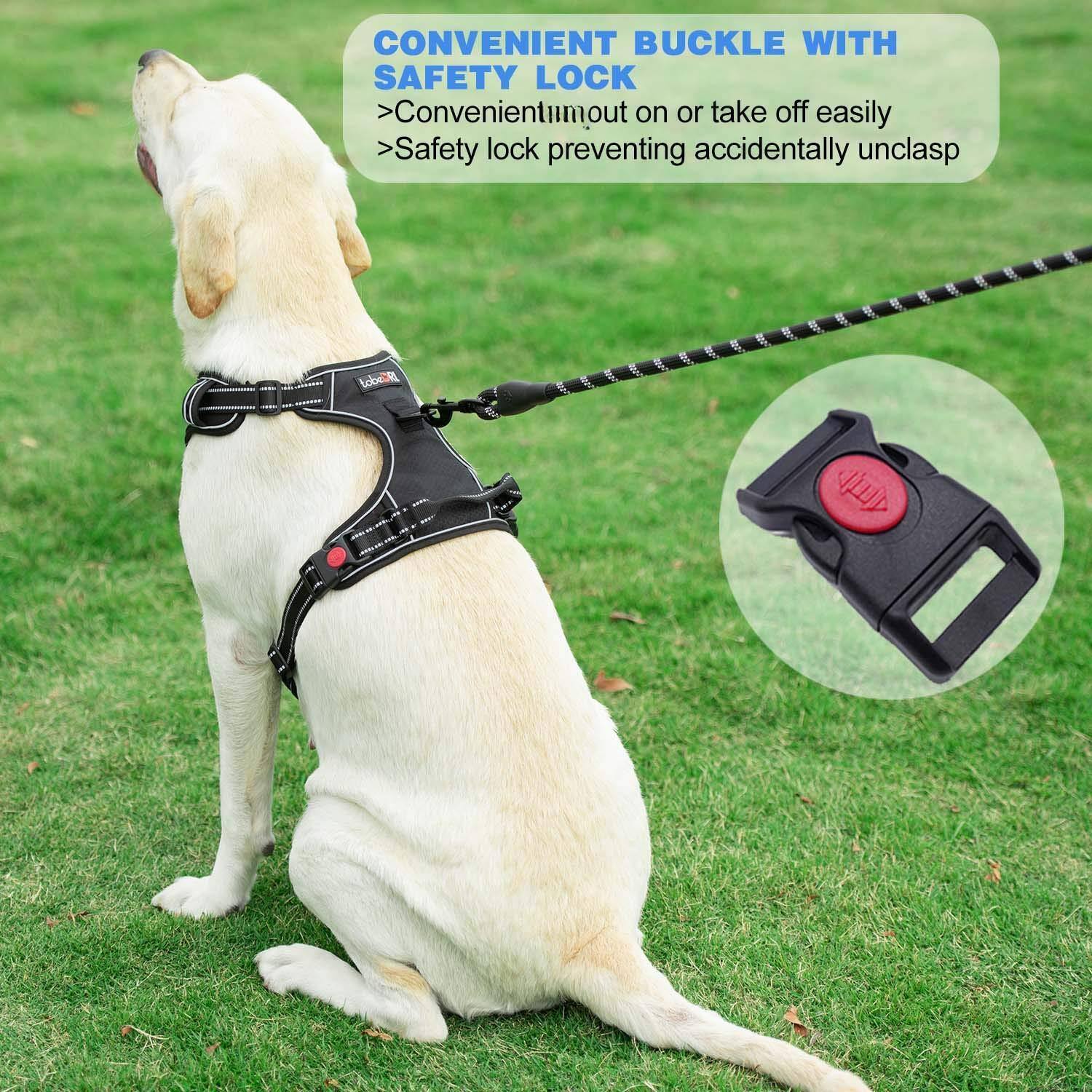 CONVENIENT BUCKLE WITH SAFETY LOCK  
>Convenient to put on or take off easily  
>Safety lock preventing accidentally unclasp
