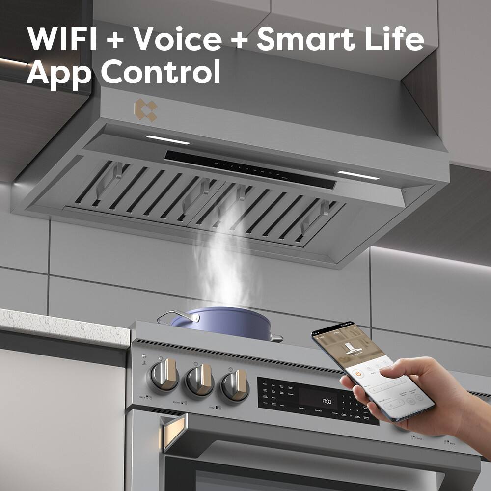 WIFI + Voice + Smart Life App Control