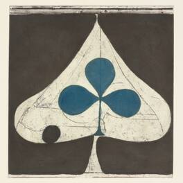 Grizzly Bear - Shields - VINYL LP