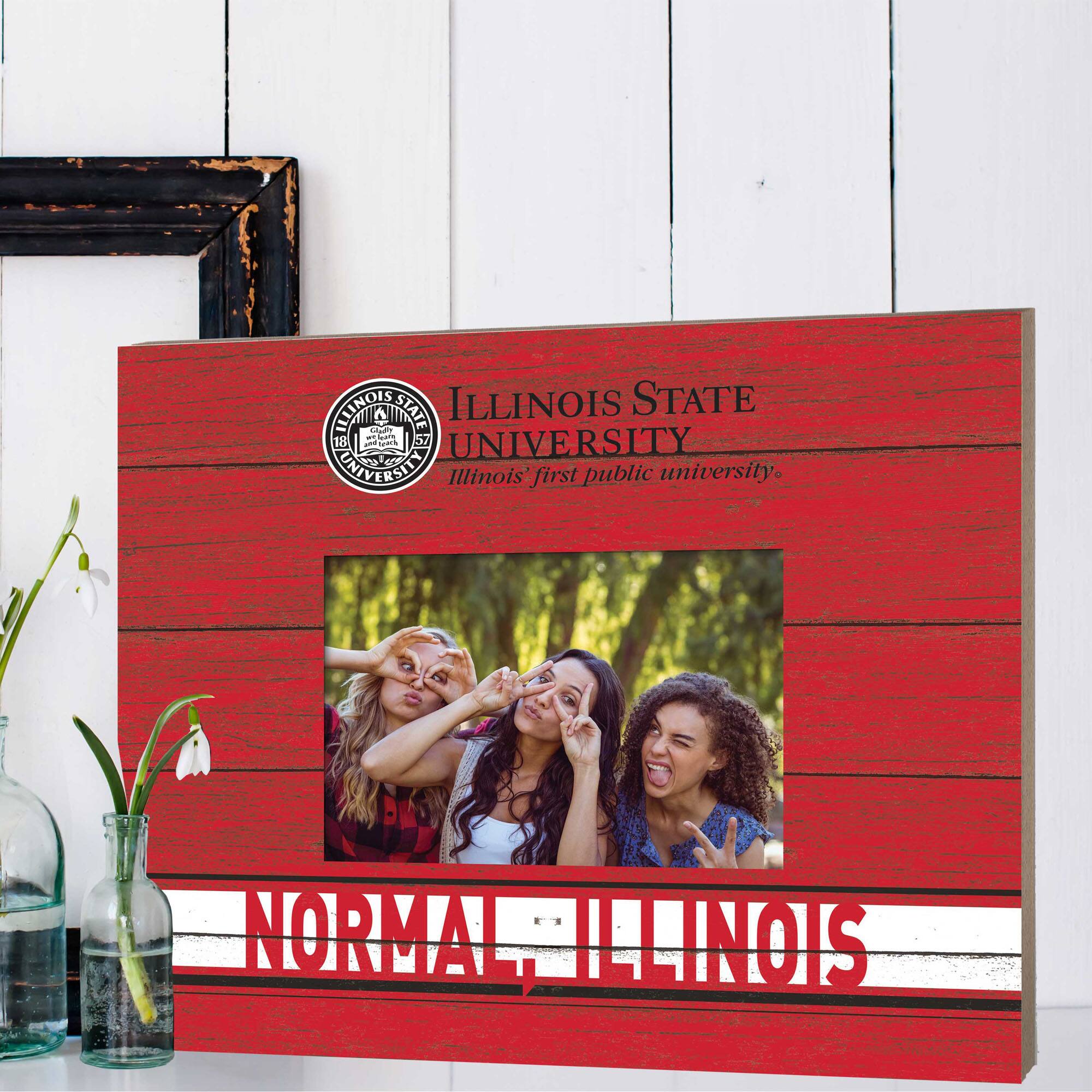 ILLINOIS STATE UNIVERSITY  
Illinois's first public university.  
NORMAL, ILLINOIS