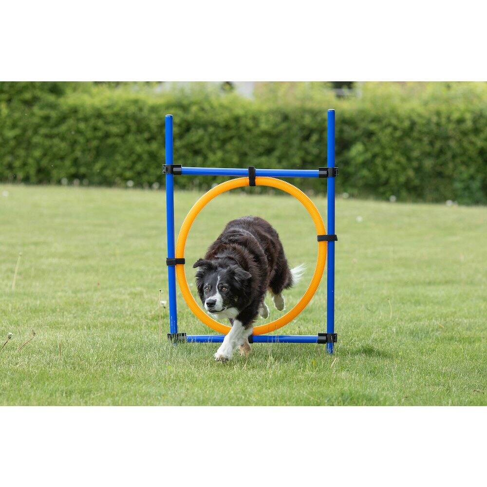 Angle. TRIXIE - Dog Agility Jumping Ring Training  Set - Blue/Orange.