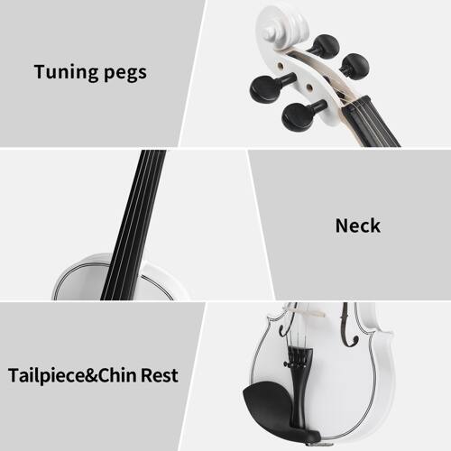Tuning pegs  
Neck  
Tailpiece & Chin Rest